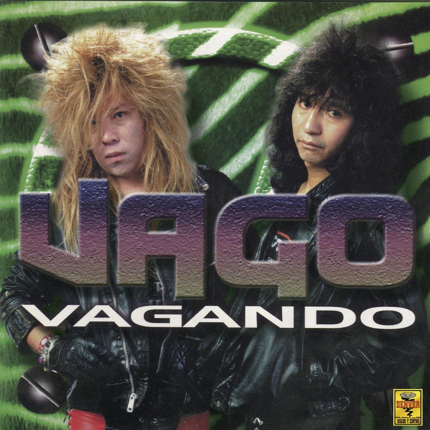 Постер альбома Vagando