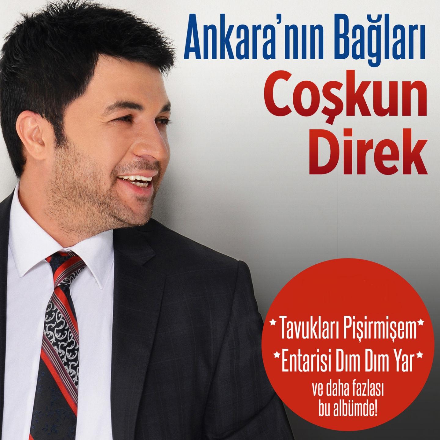 Постер альбома Ankara'nın Bağları