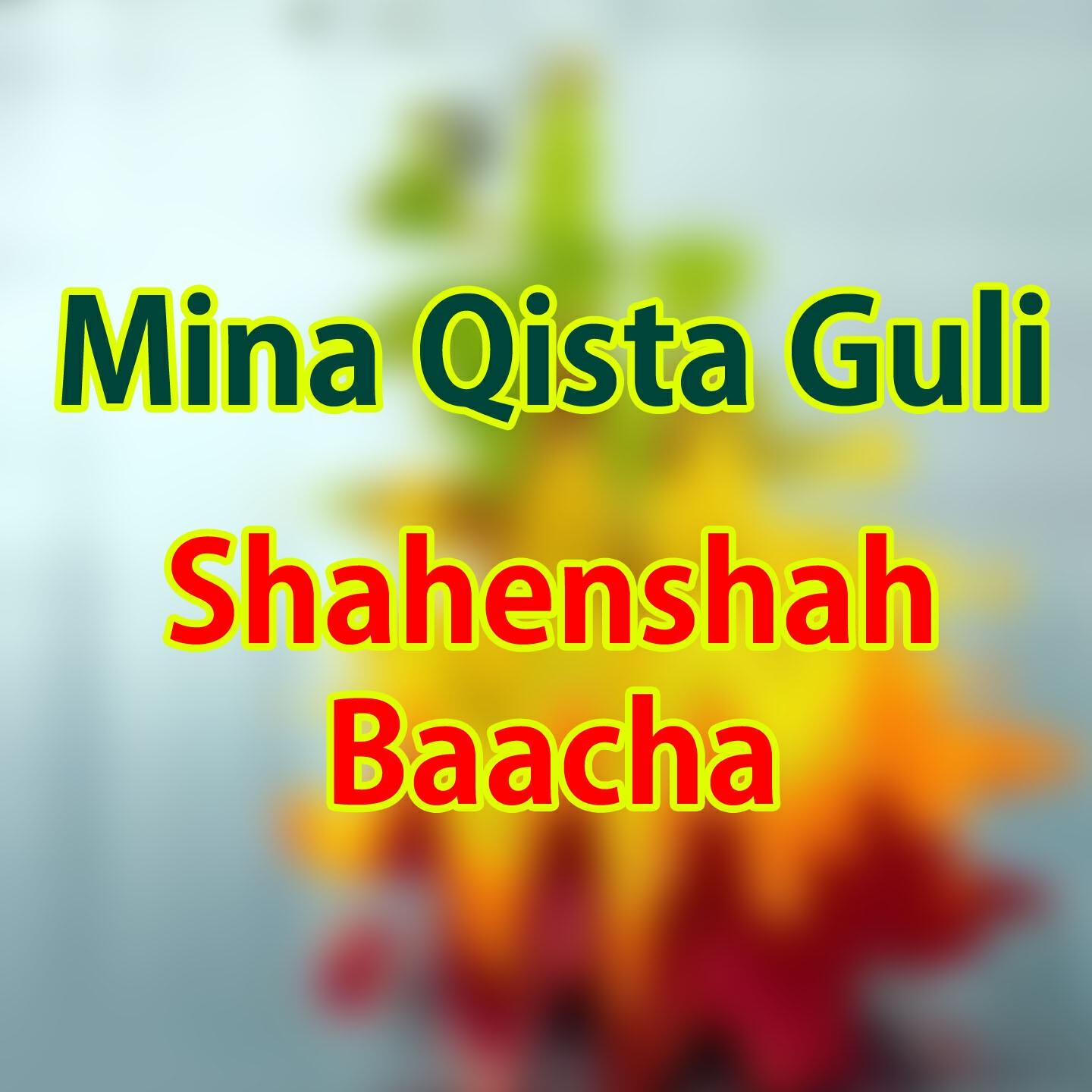 Shahenshah Baacha - Za Da Si Yaara (Tappay)