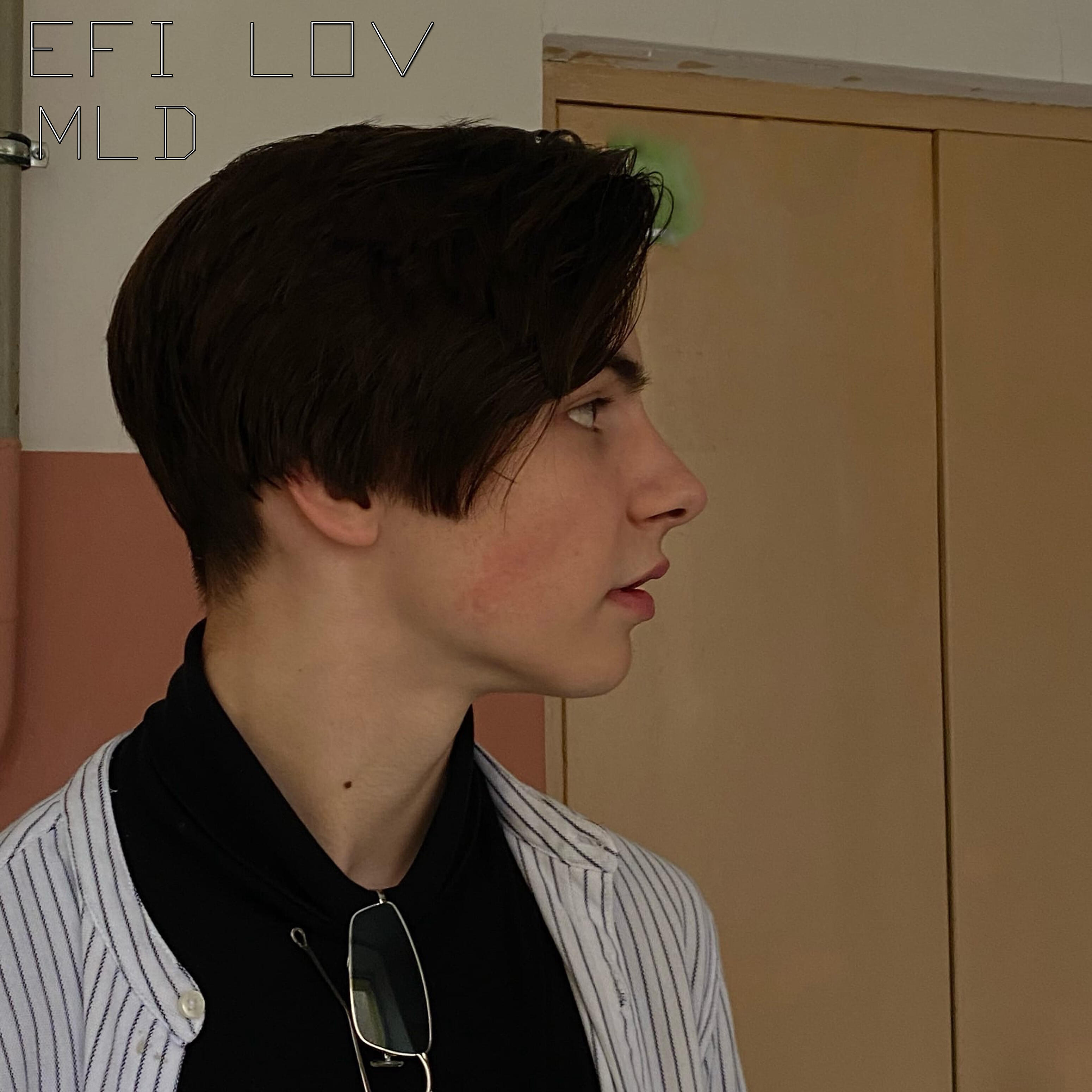EFI LOV - Mld