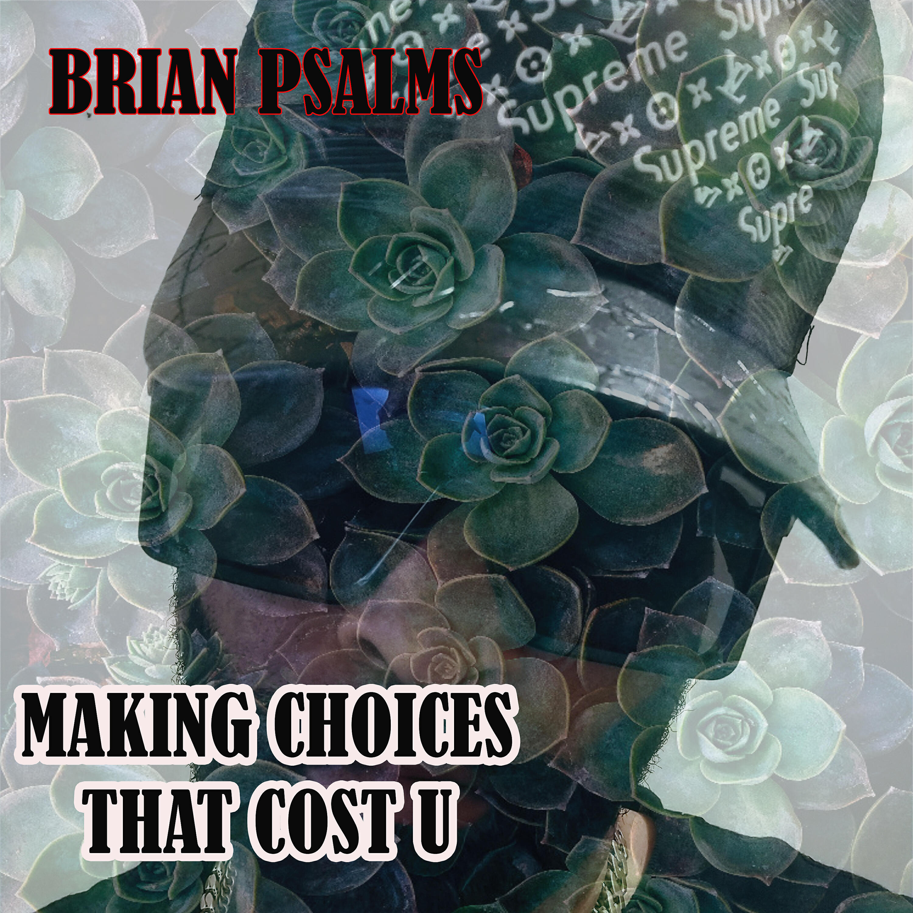 Brian Psalms - Beating You At Your Own Game