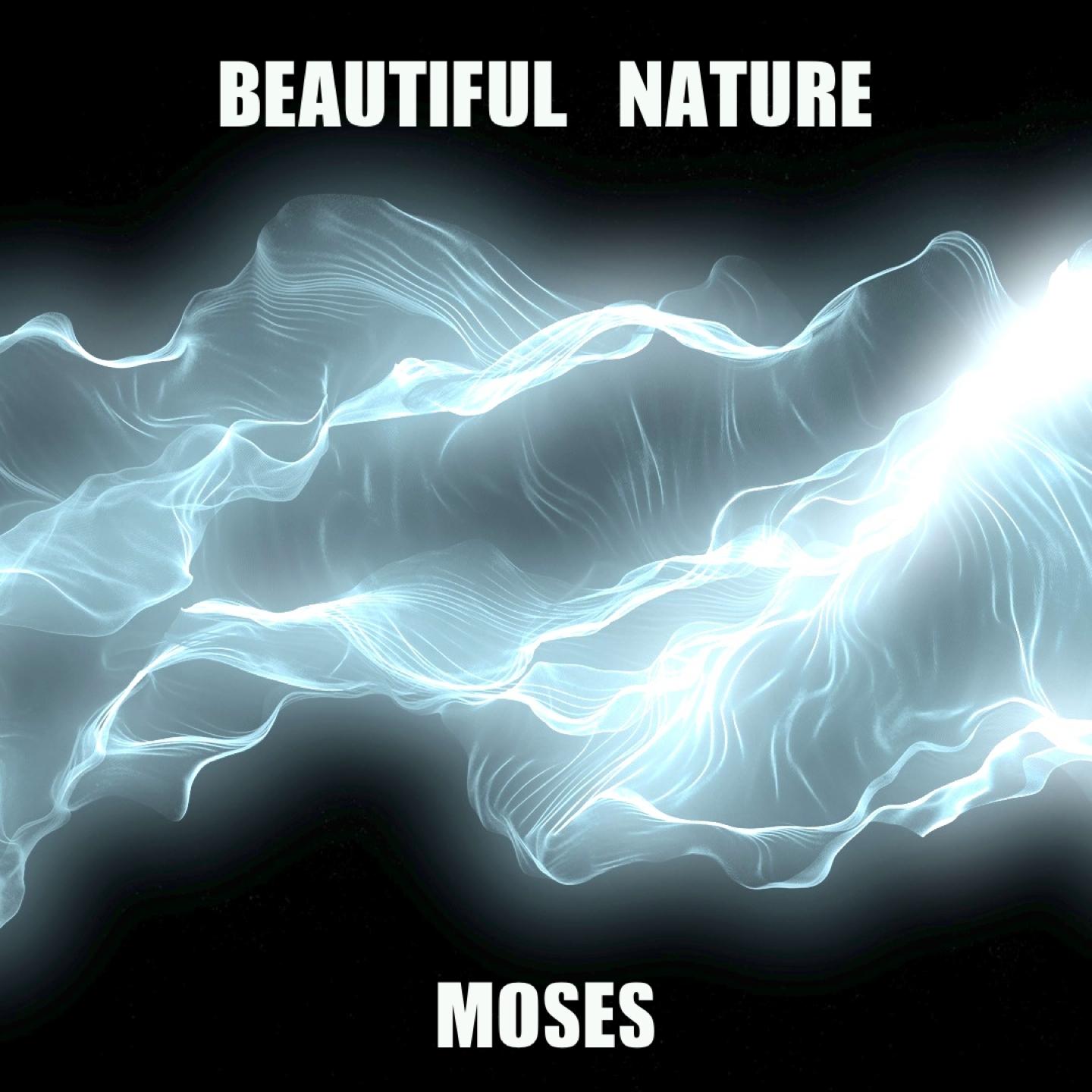 Постер альбома Beautiful Nature