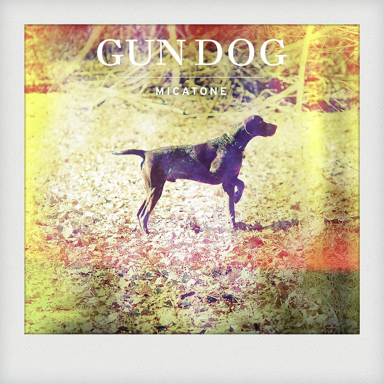 Постер альбома Gun Dog w / Alex Barck Remix