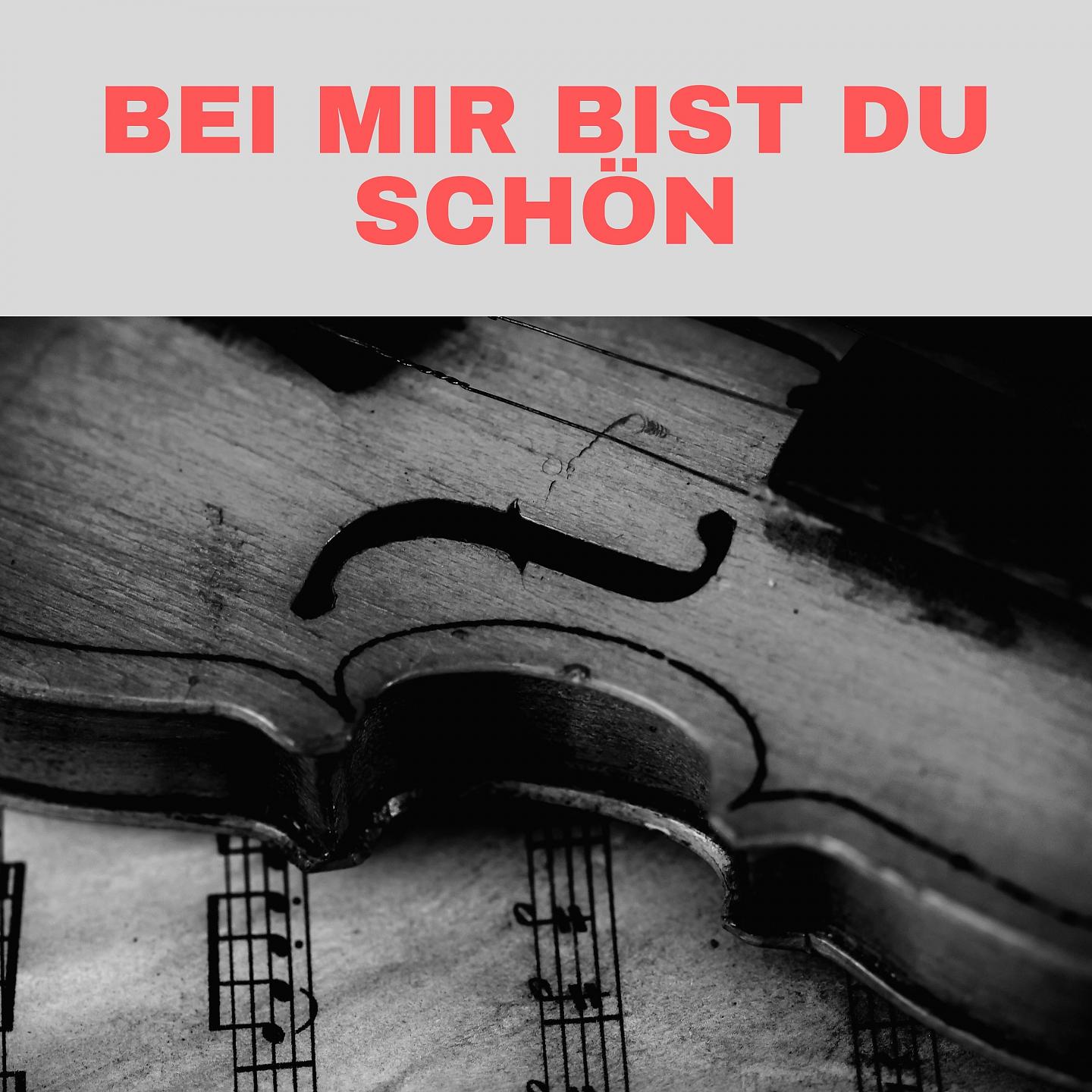 Постер альбома Bei mir bist Du schön