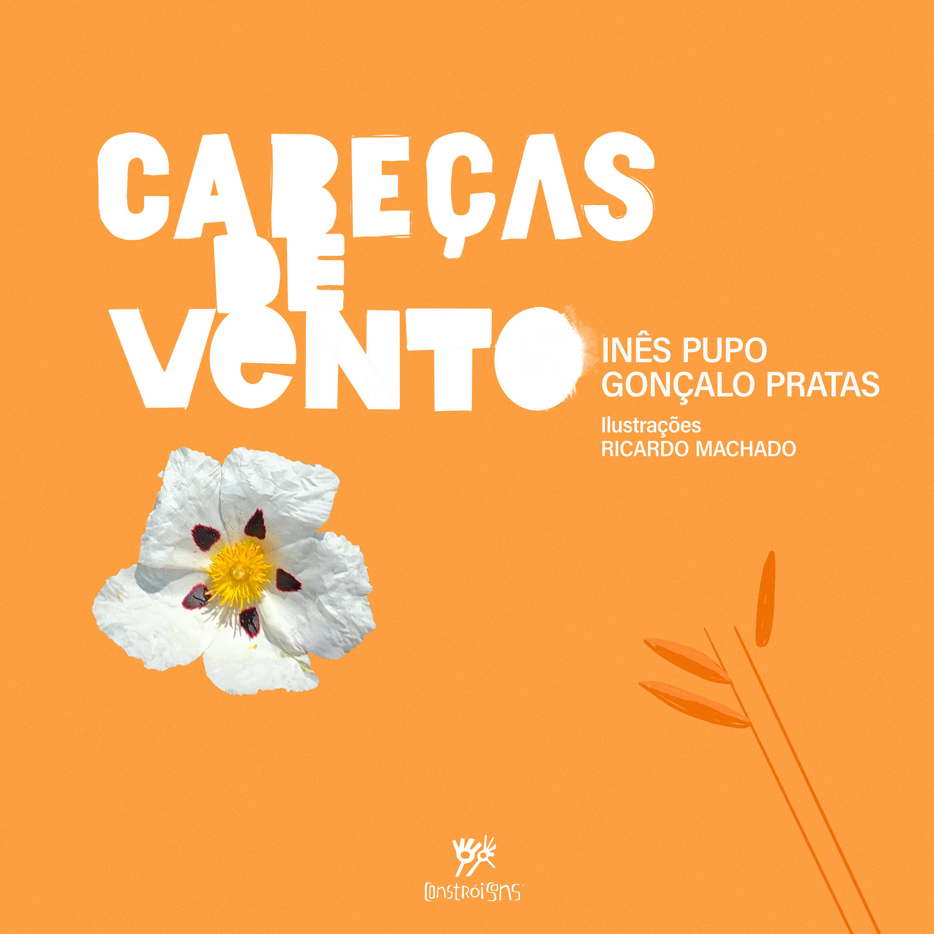 Постер альбома Cabeças de Vento