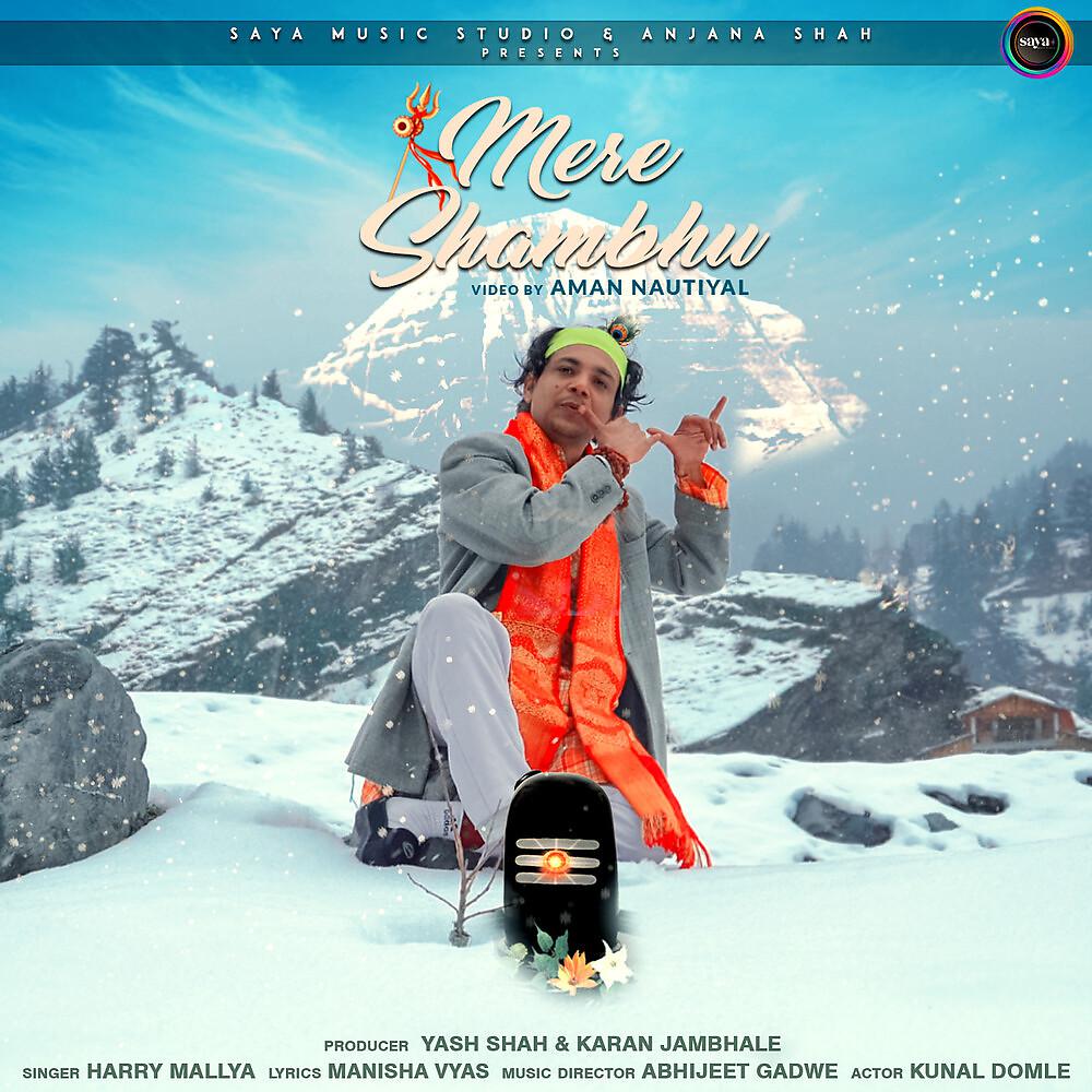 Постер альбома Mere Shambhu