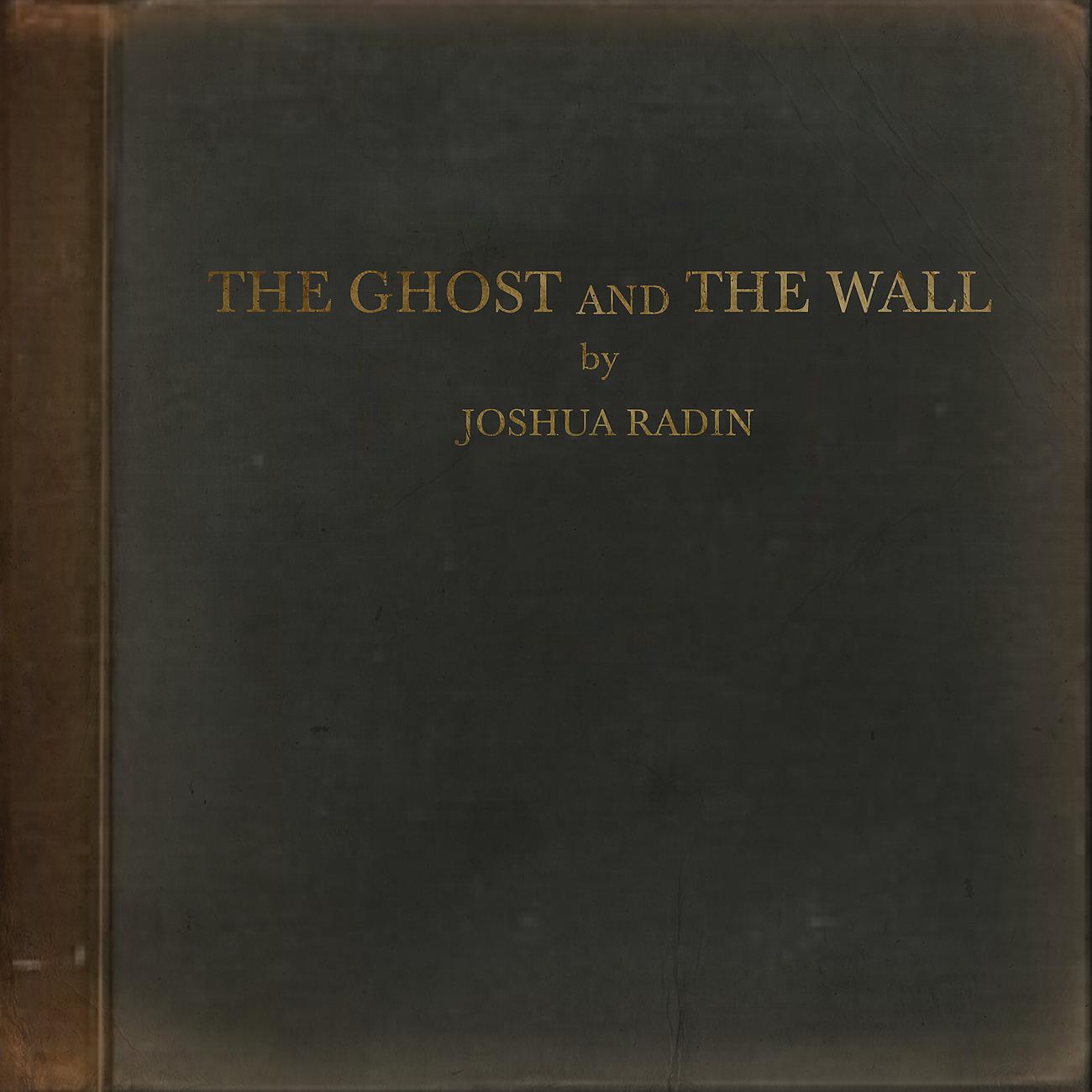 Постер альбома The Ghost and the Wall