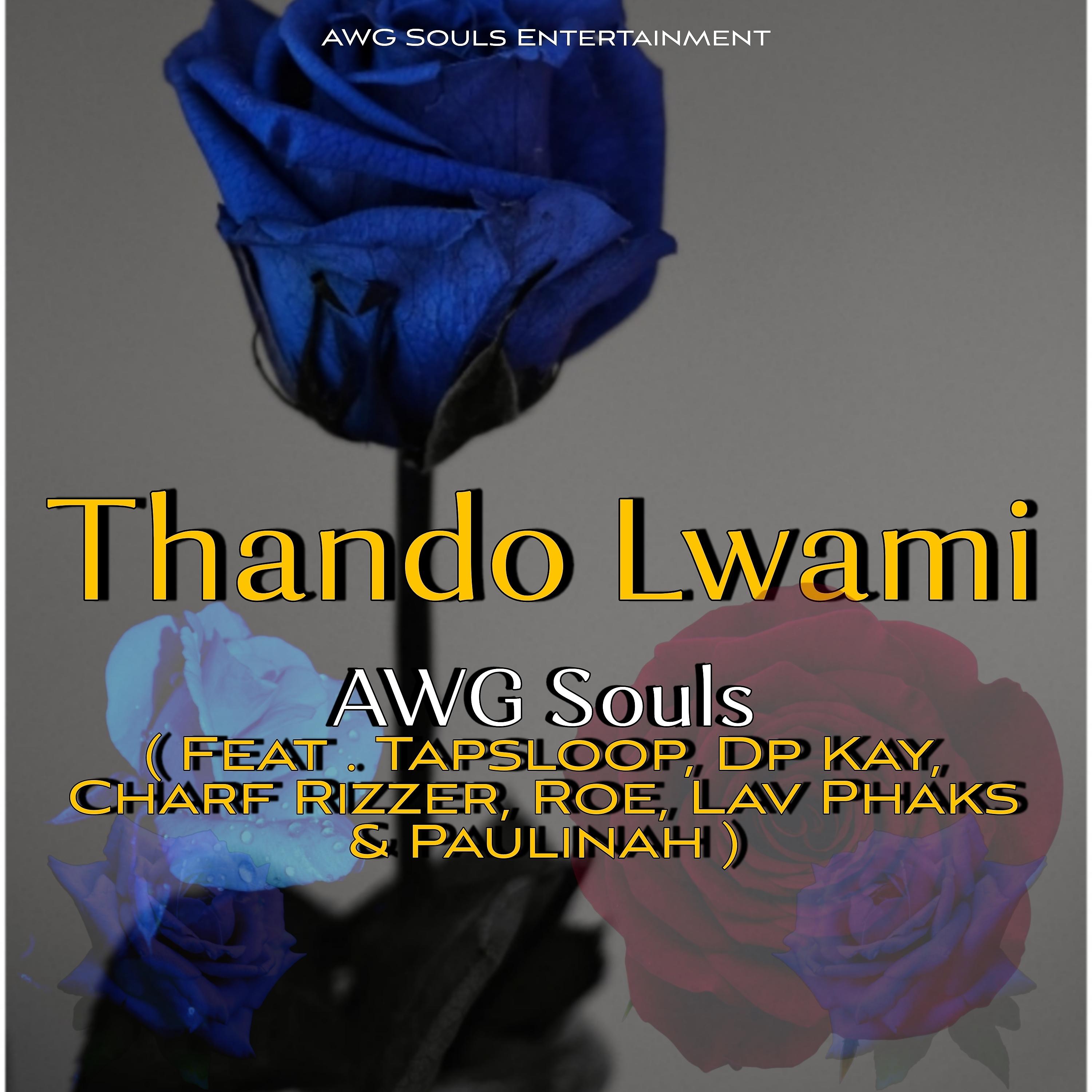 Постер альбома Thando Lwami