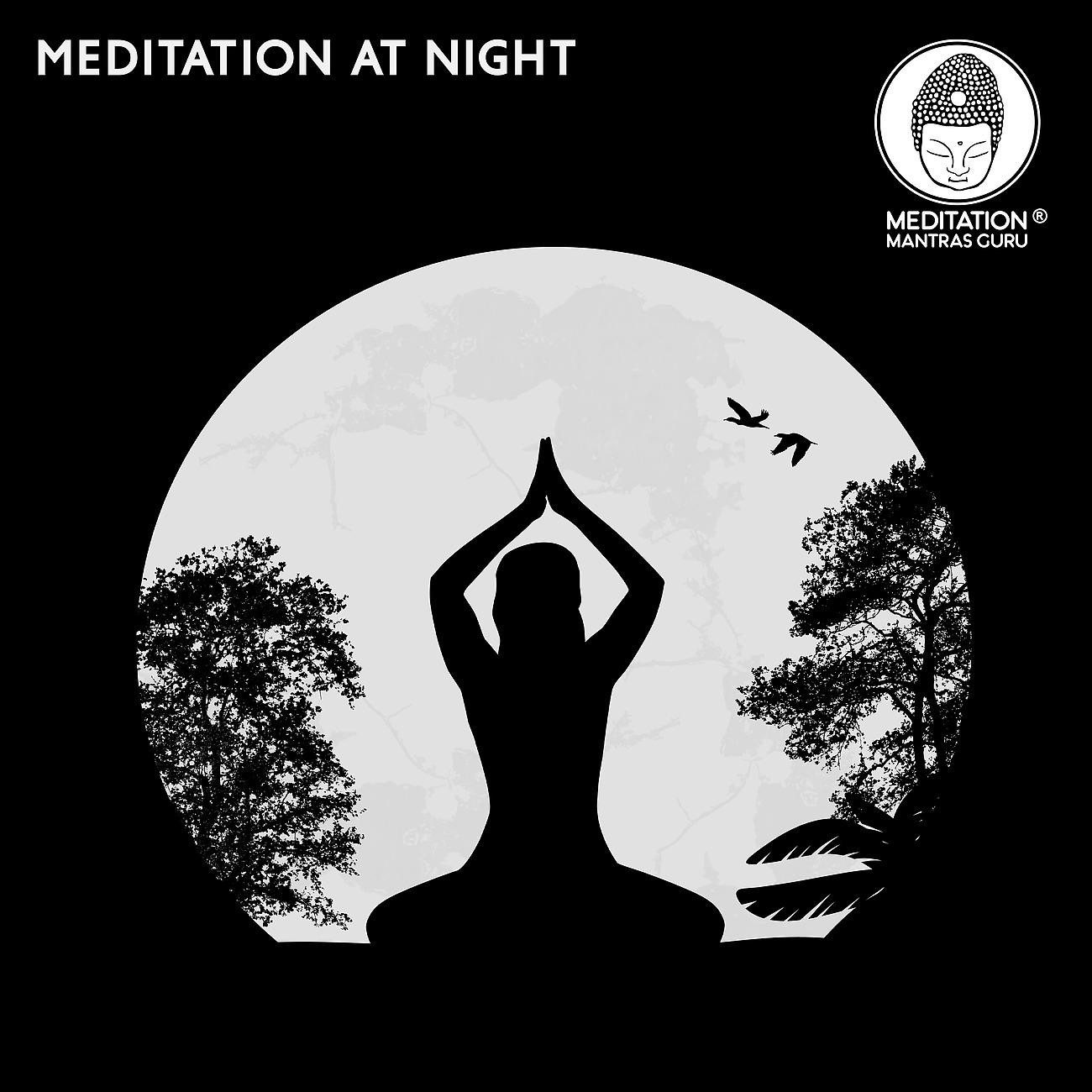 Постер альбома Meditation at Night