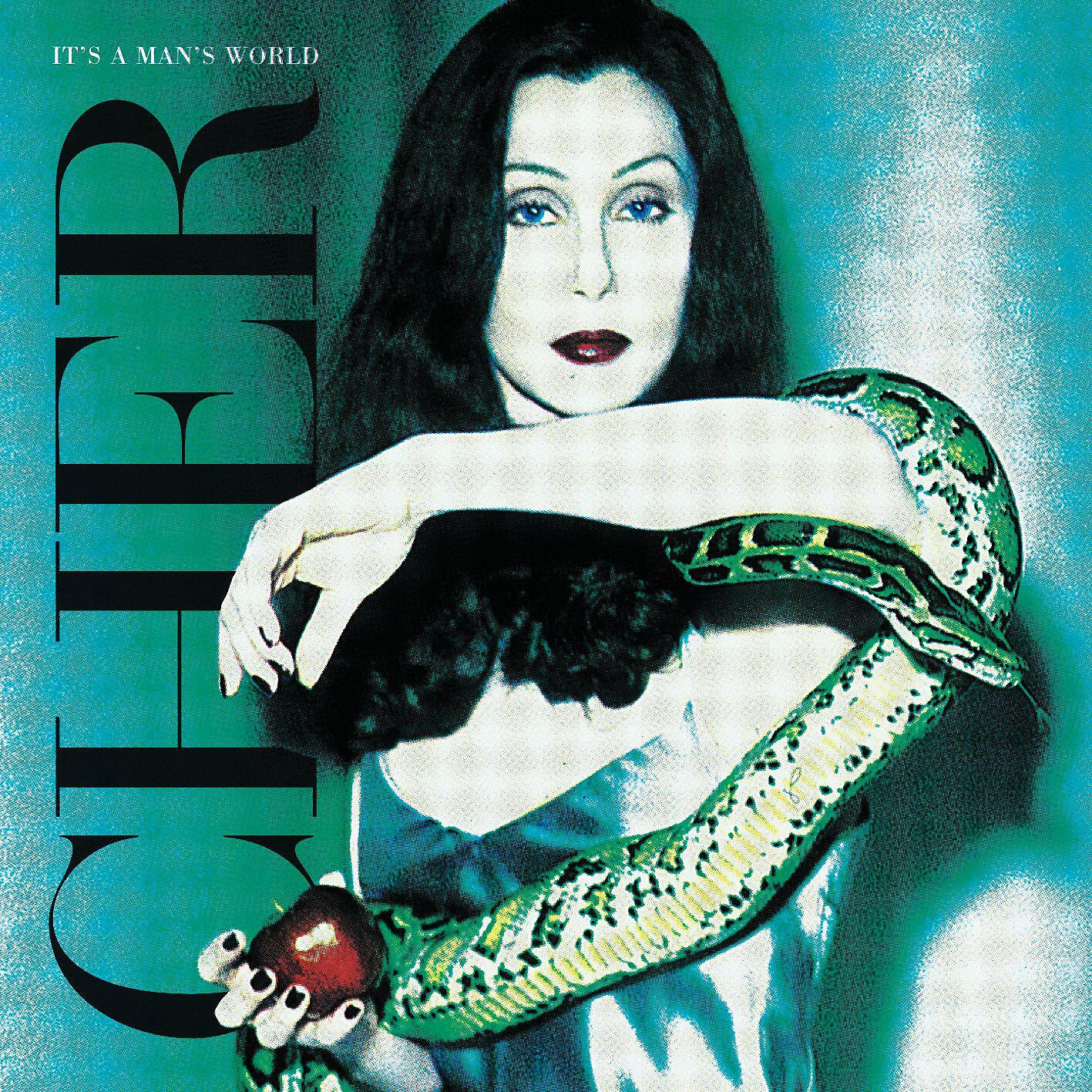 Cher - I Wouldn't Treat a Dog (The Way You Treated Me)