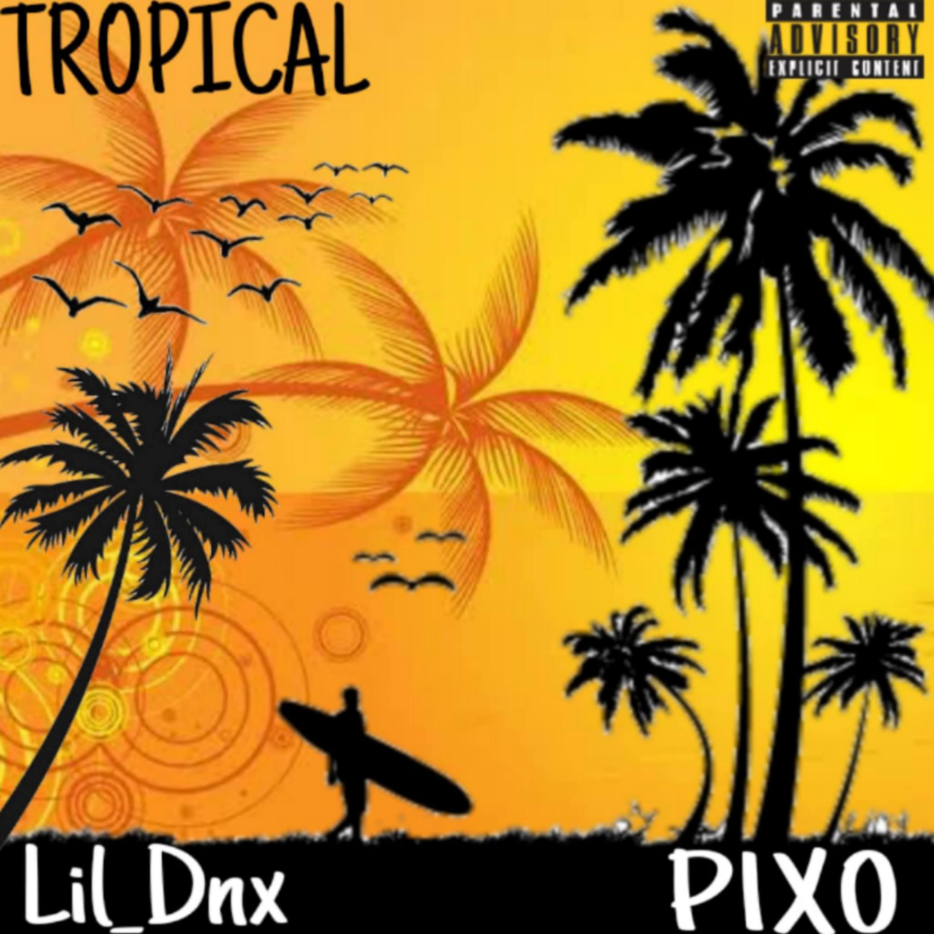 Lil Dnx - Tropical