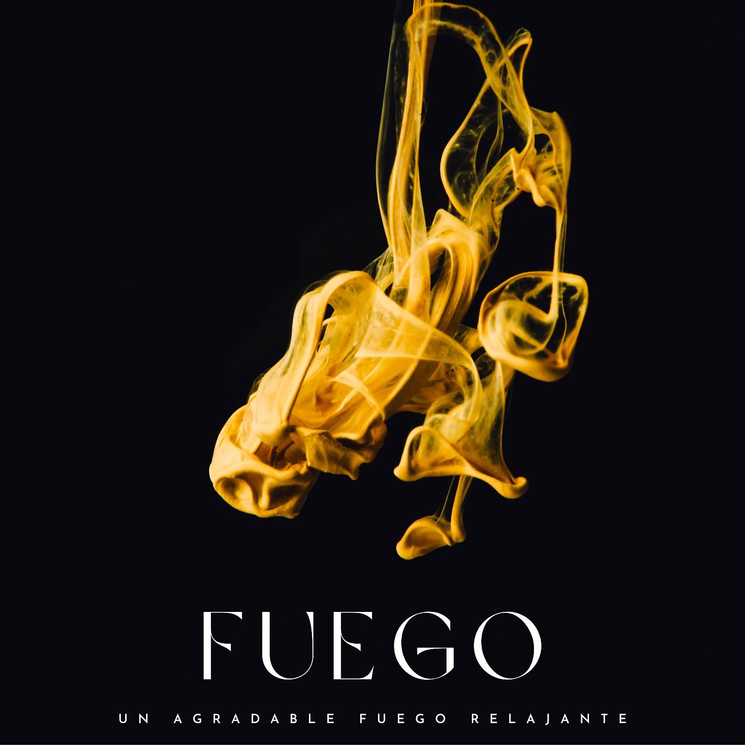 Постер альбома Fuego: Un Agradable Fuego Relajante