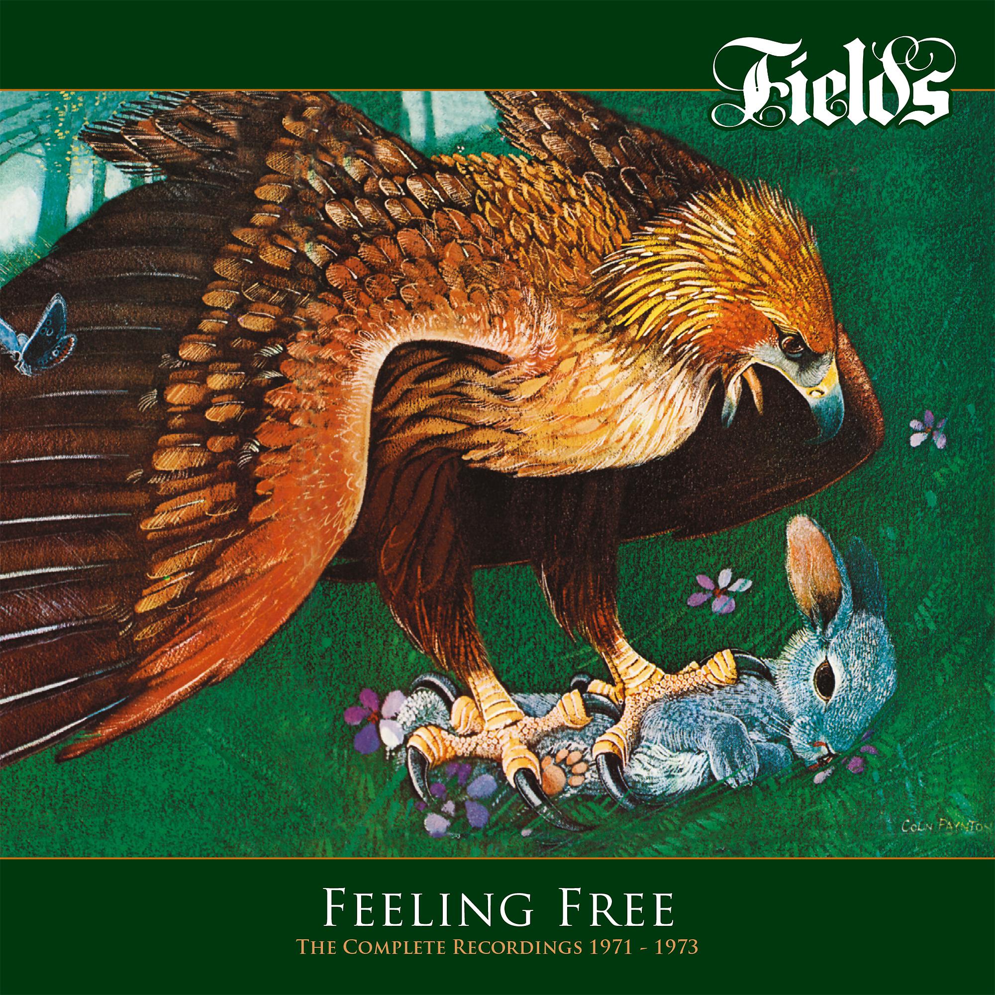 Постер альбома Feeling Free: The Complete Recordings 1971-1973