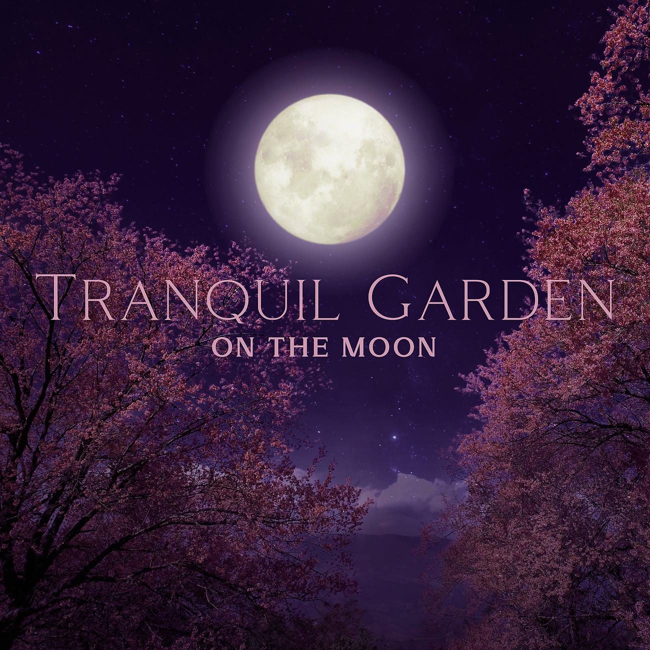 Постер альбома Tranquil Garden on the Moon