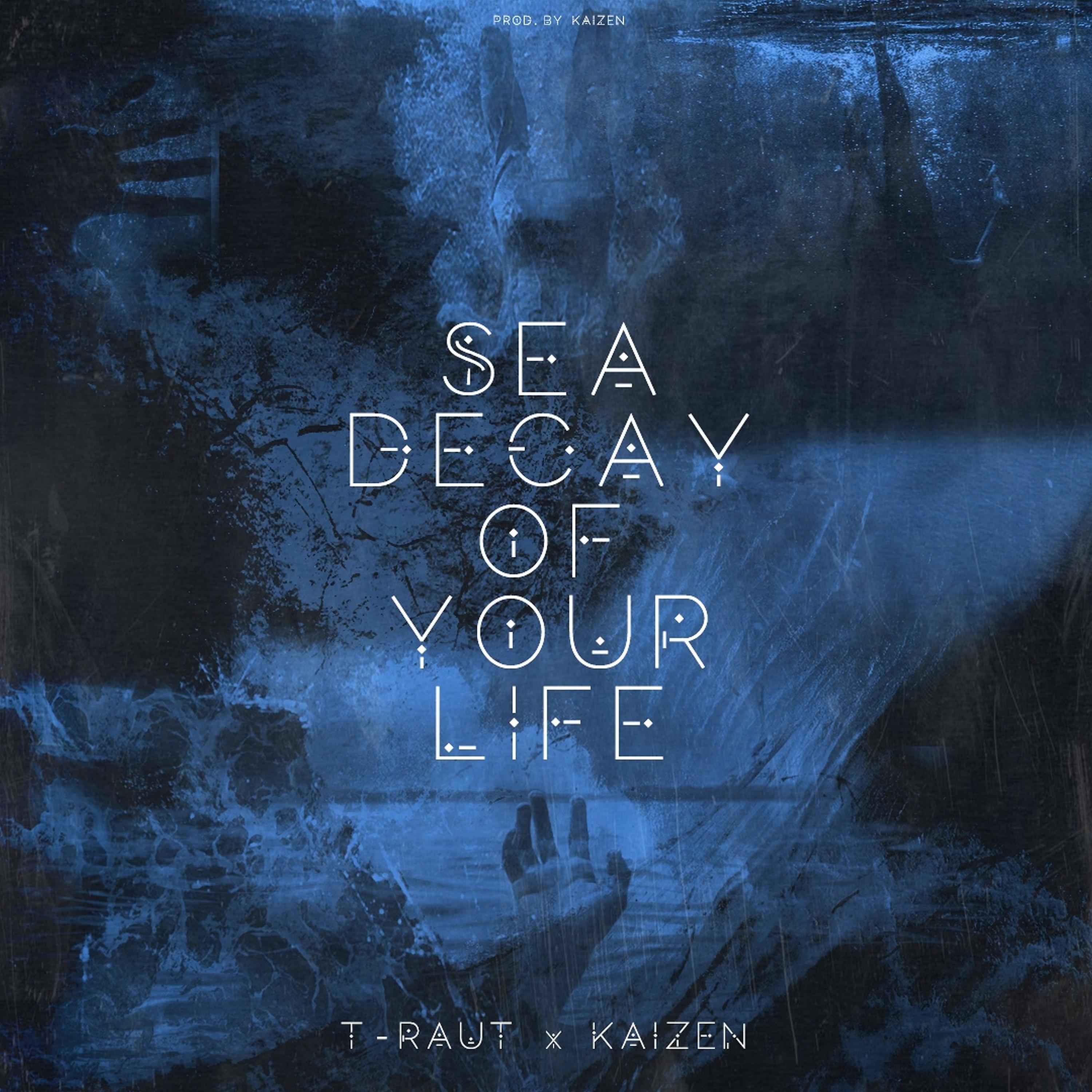 Постер альбома Sea Decay of Your Life