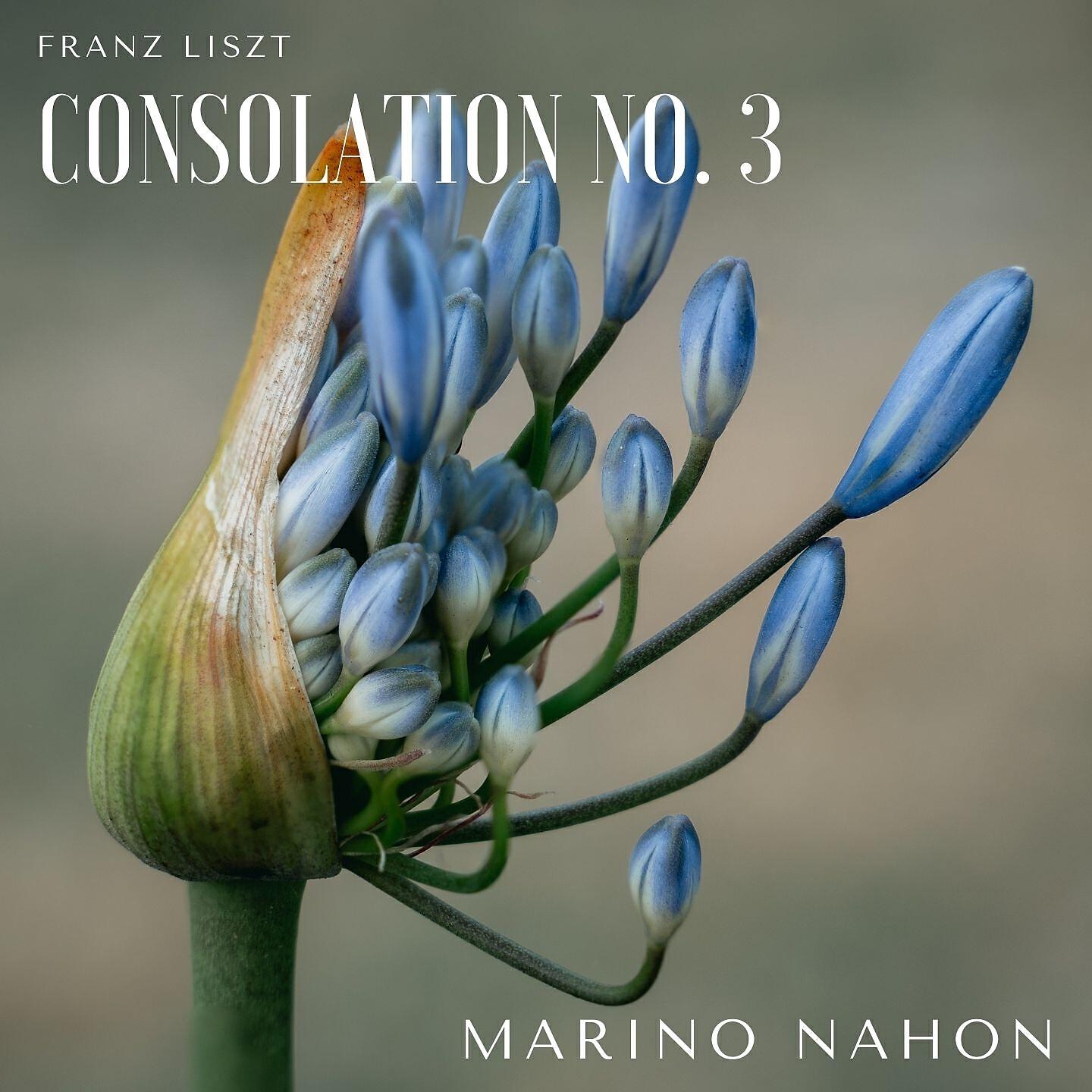 Marino Nahon - Consolations, S. 172: No. 3, Lento placido (Live)