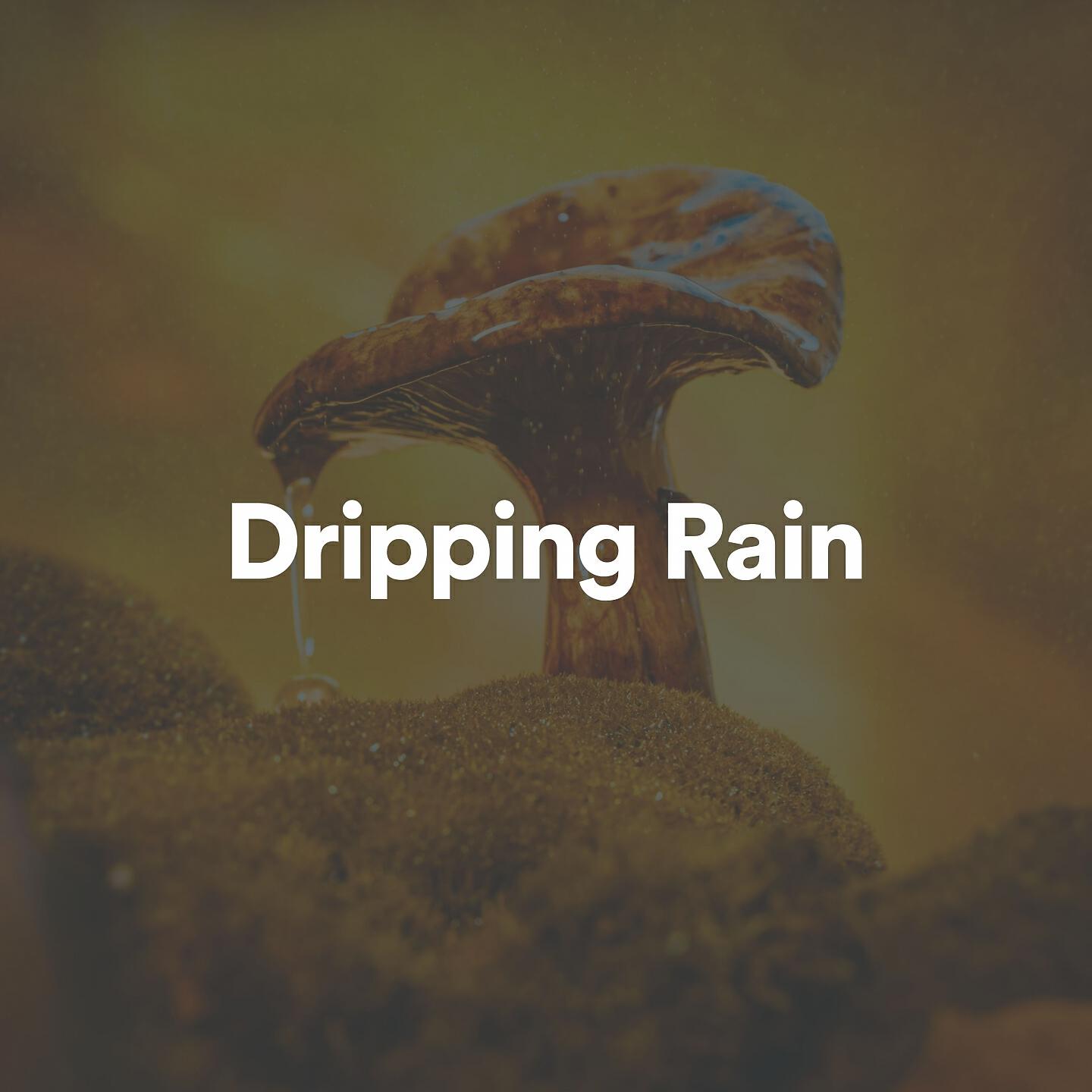 Relaxing Rain Sounds - Deep Sleep Music Experience Rain Sounds For Sleep