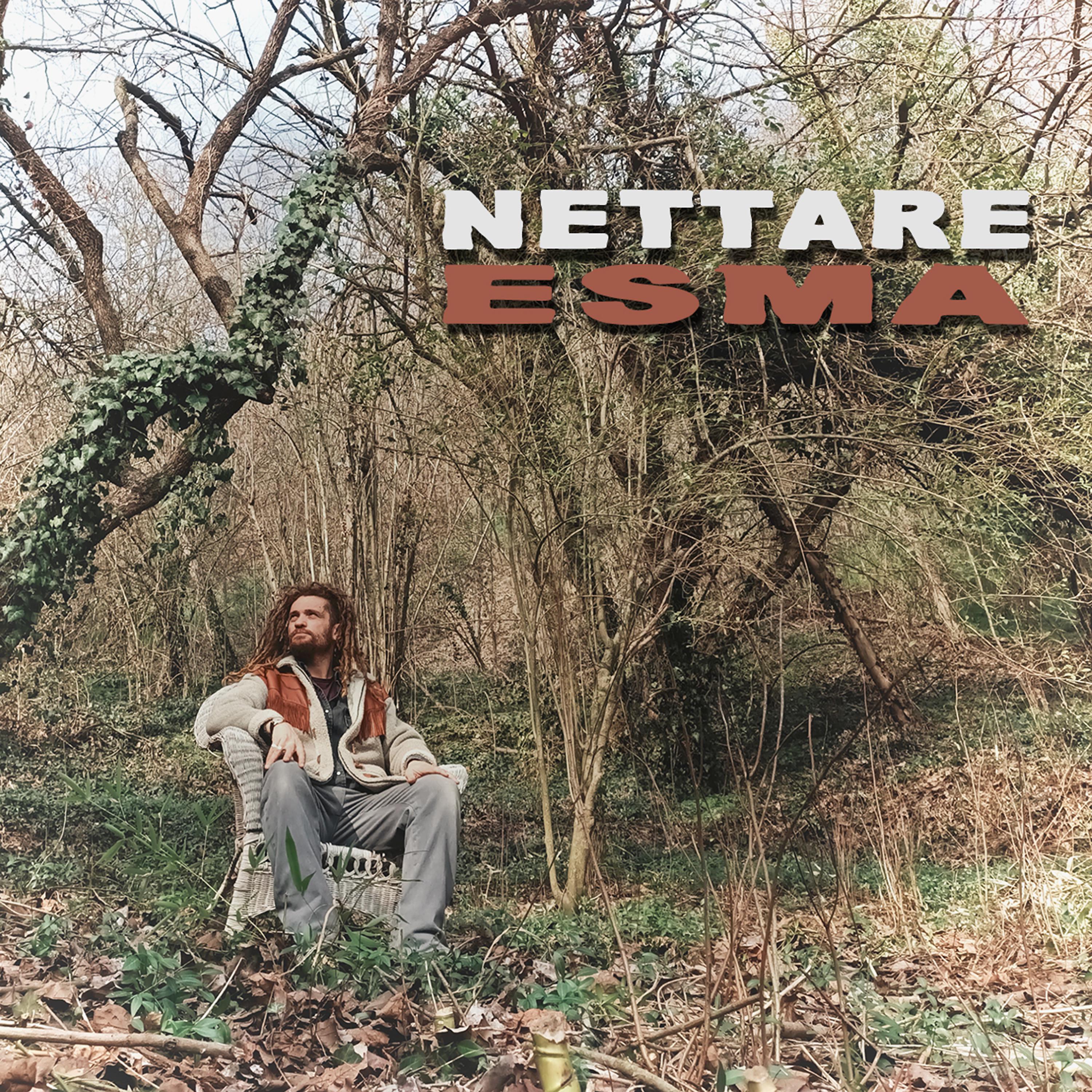 Постер альбома Nettare