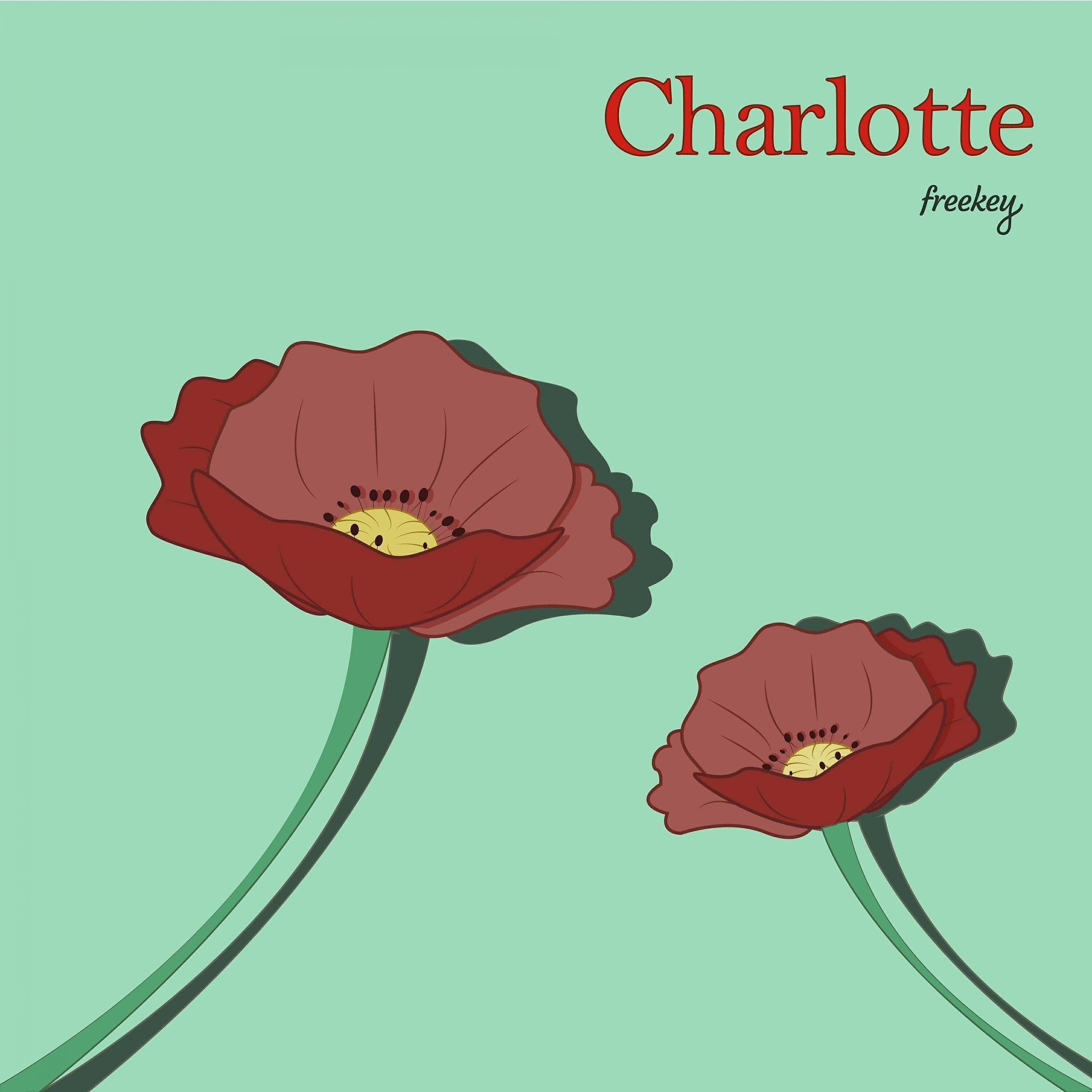 freekey - Charlotte