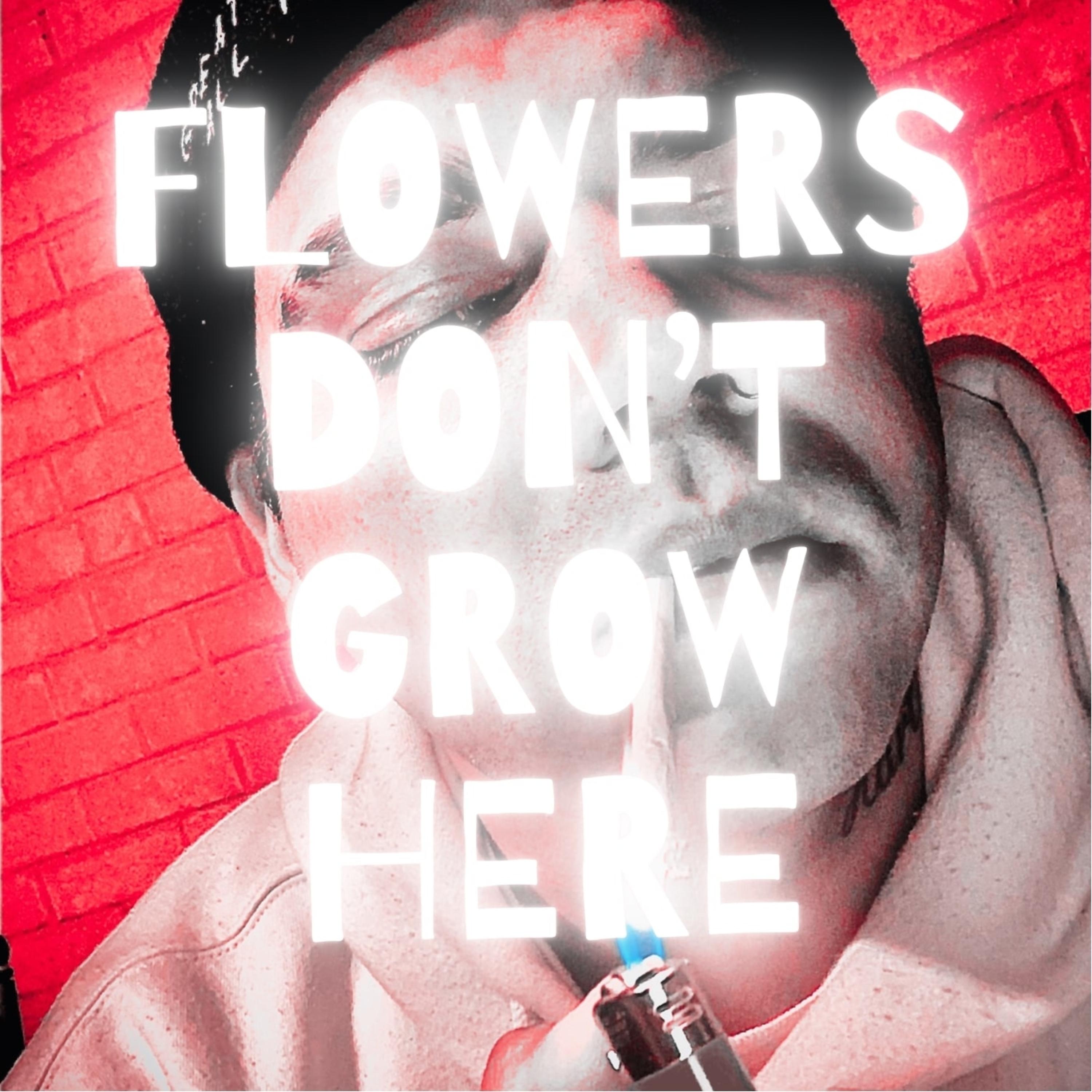 Постер альбома Flowers Don't Grow Here