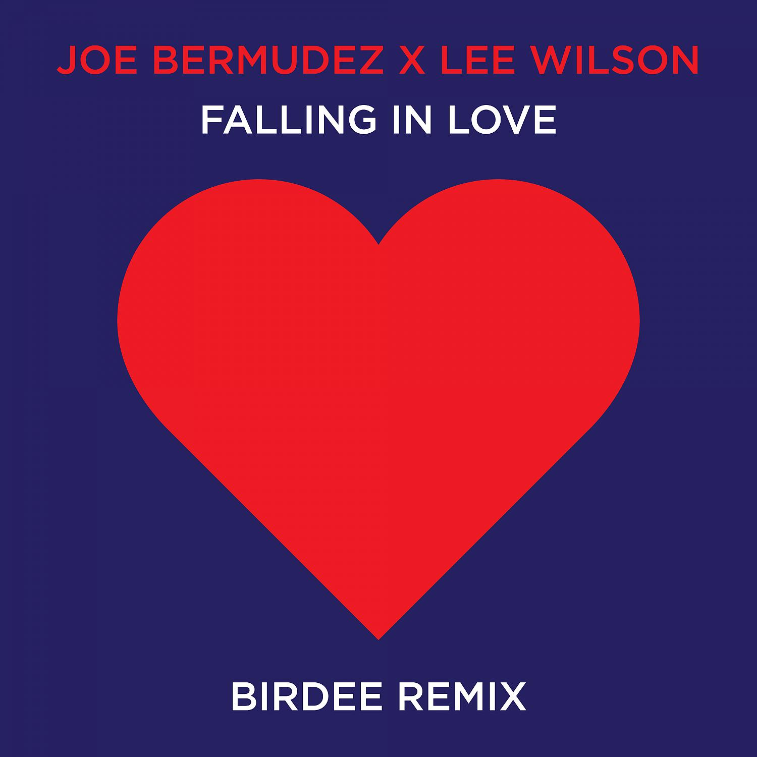 Постер альбома Falling In Love (Birdee Remix)