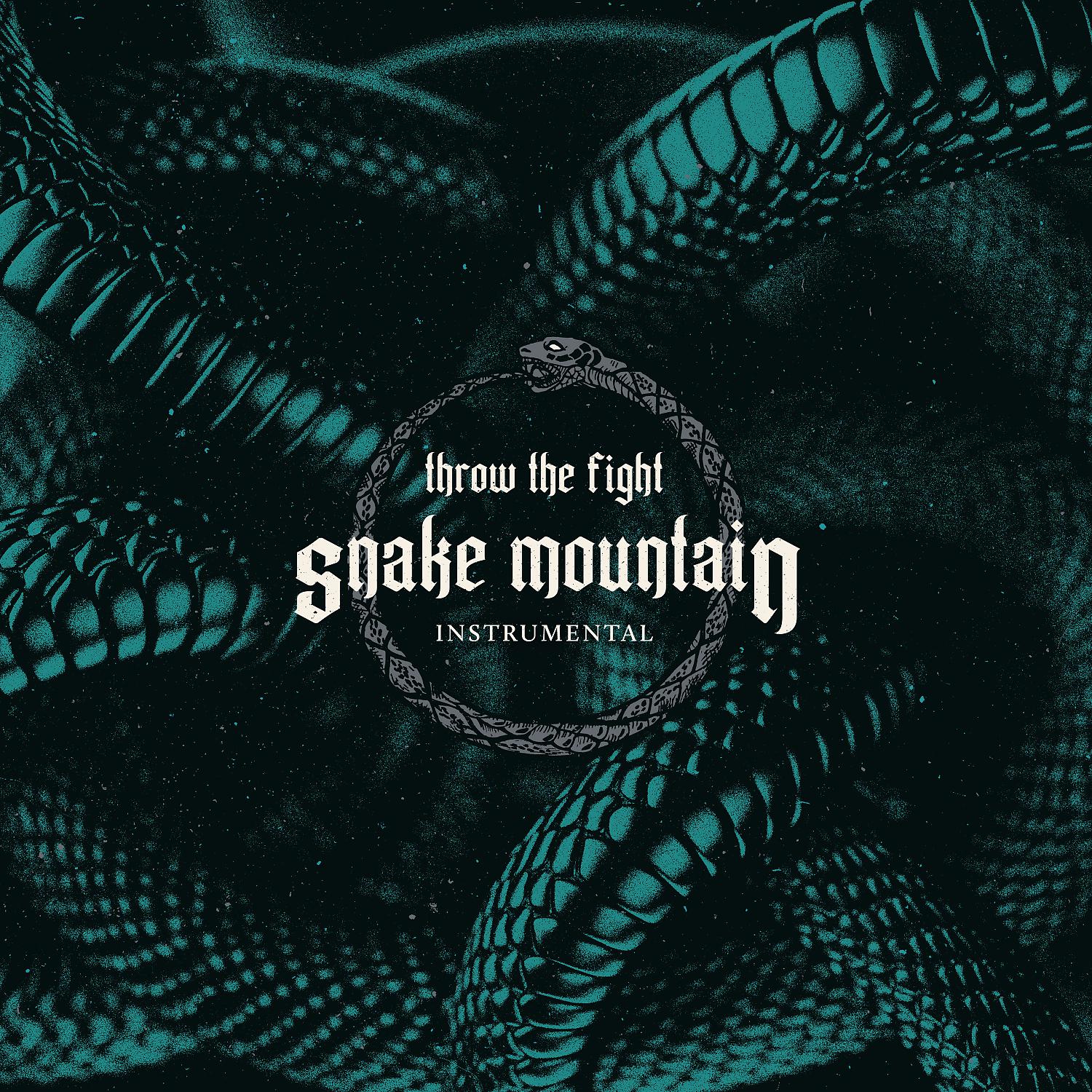 Постер альбома Snake Mountain (Instrumental)