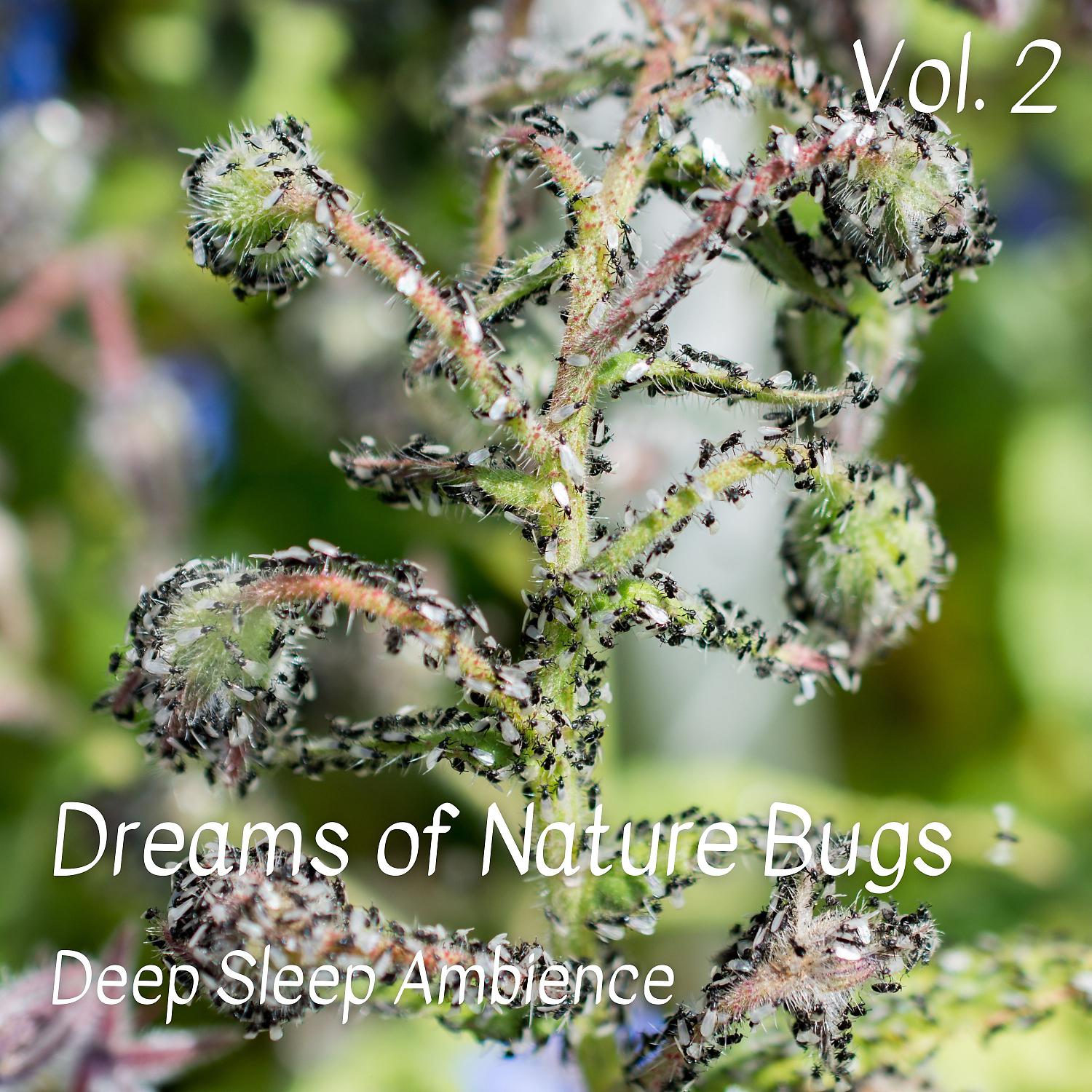 Постер альбома Deep Sleep Ambience: Dreams of Nature Bugs Vol. 1