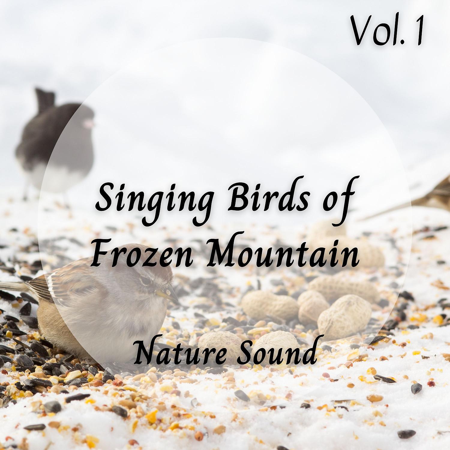 Постер альбома Nature Sound: Singing Birds of Frozen Mountain Vol. 1