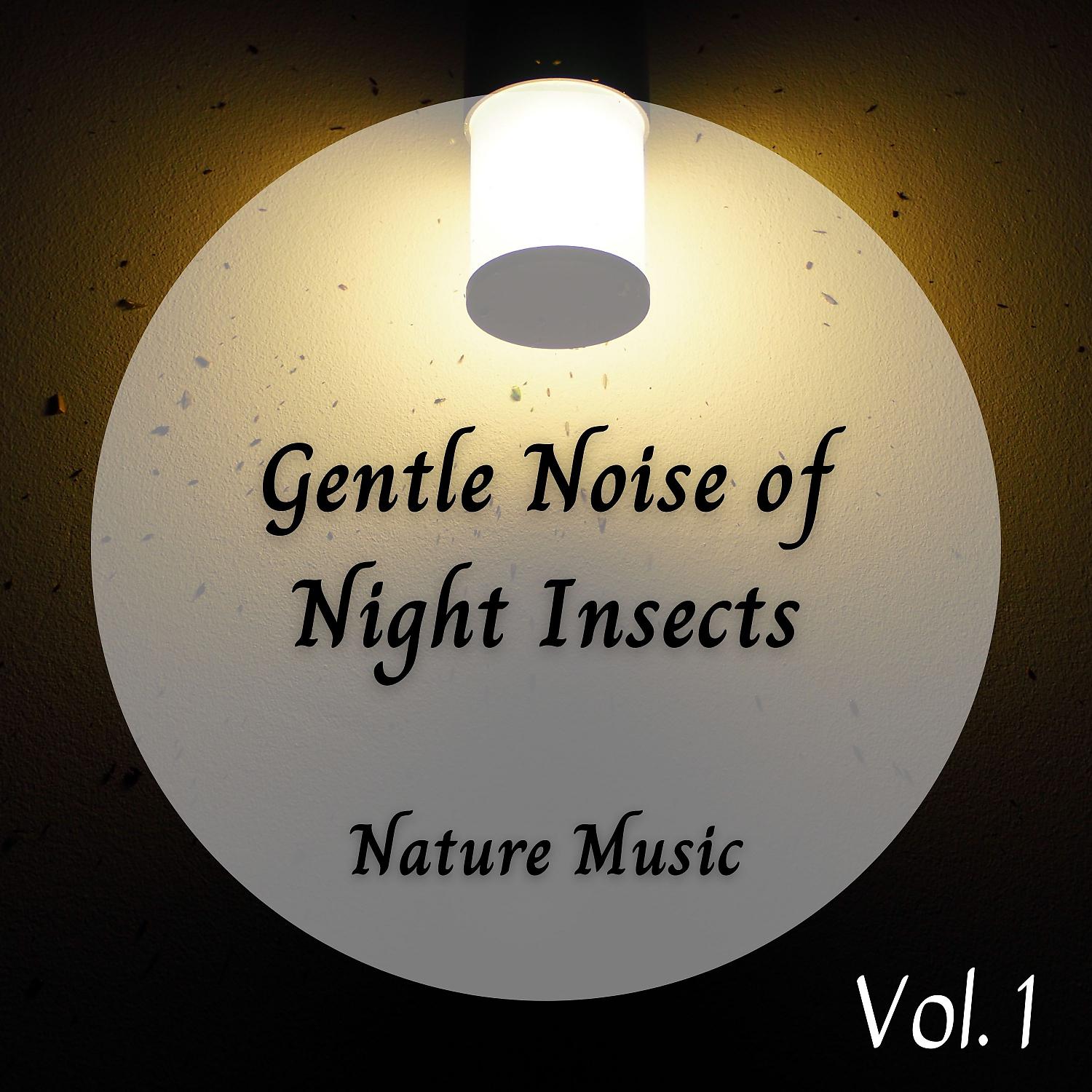 Постер альбома Nature Music: Gentle Noise of Night Insects