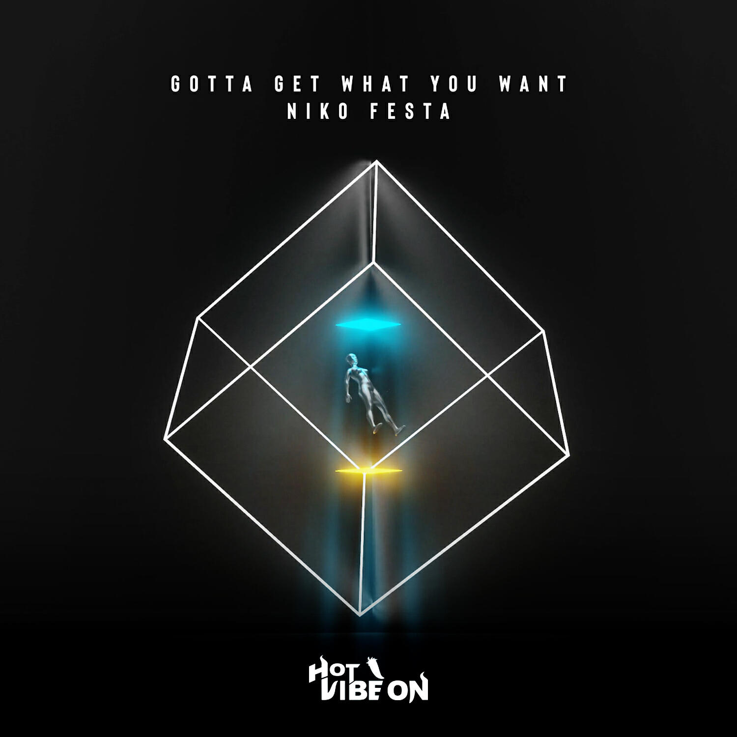 Niko Festa - Gotta Get What You Want (Radio Edit)