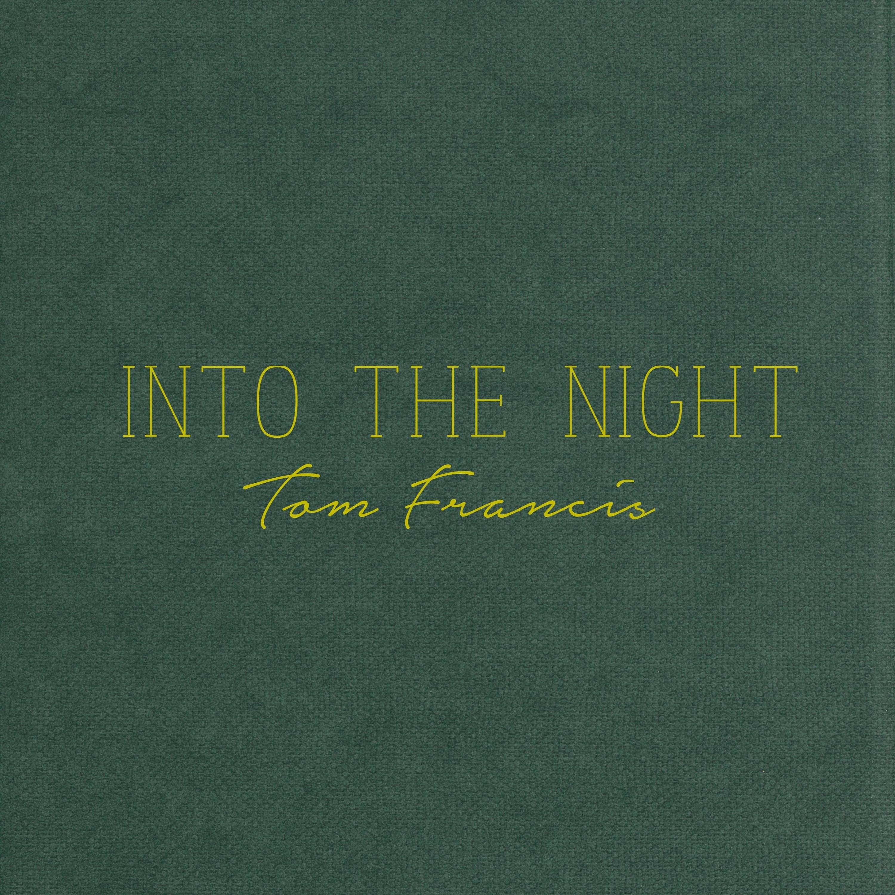 Постер альбома Into the night