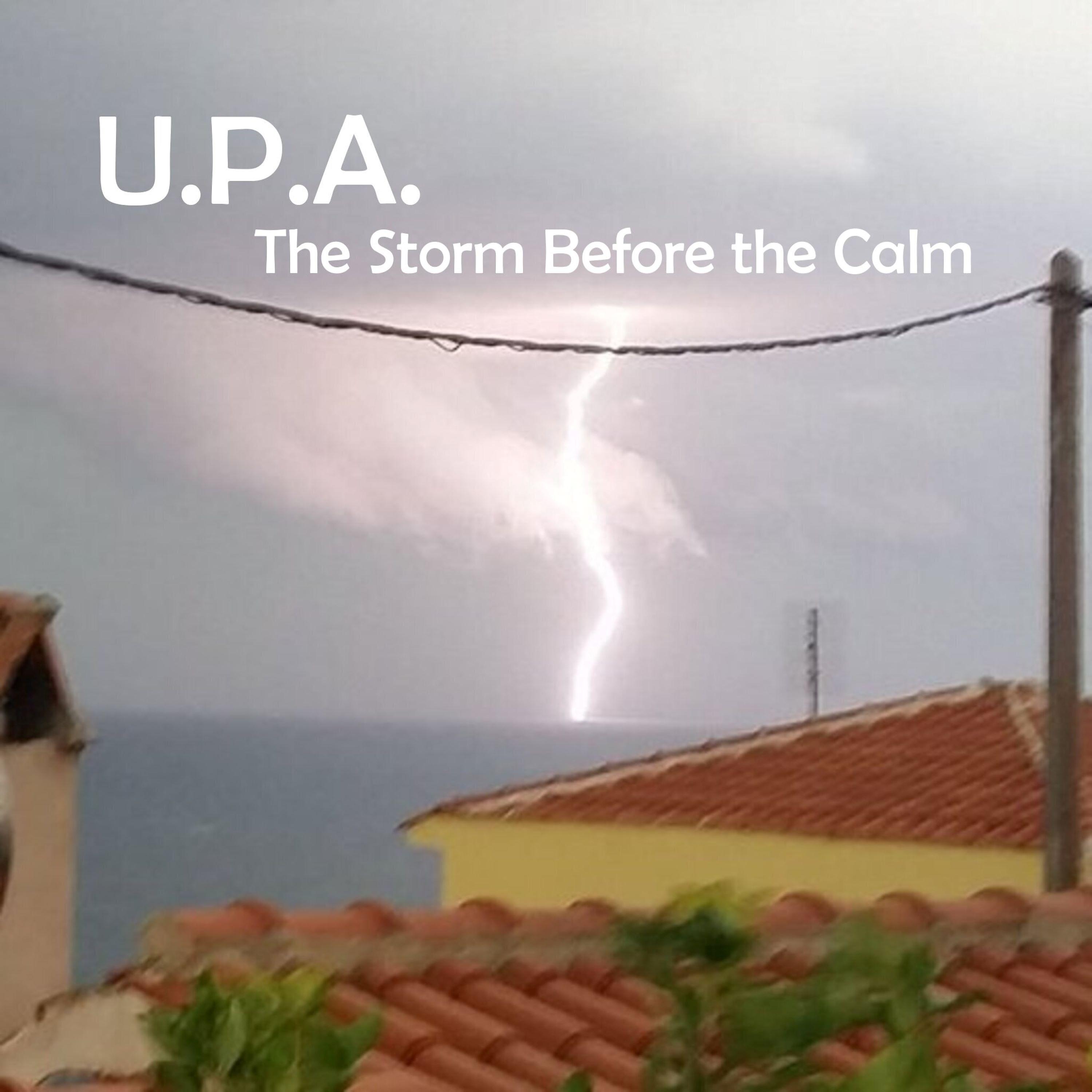 Постер альбома The Storm Before the Calm