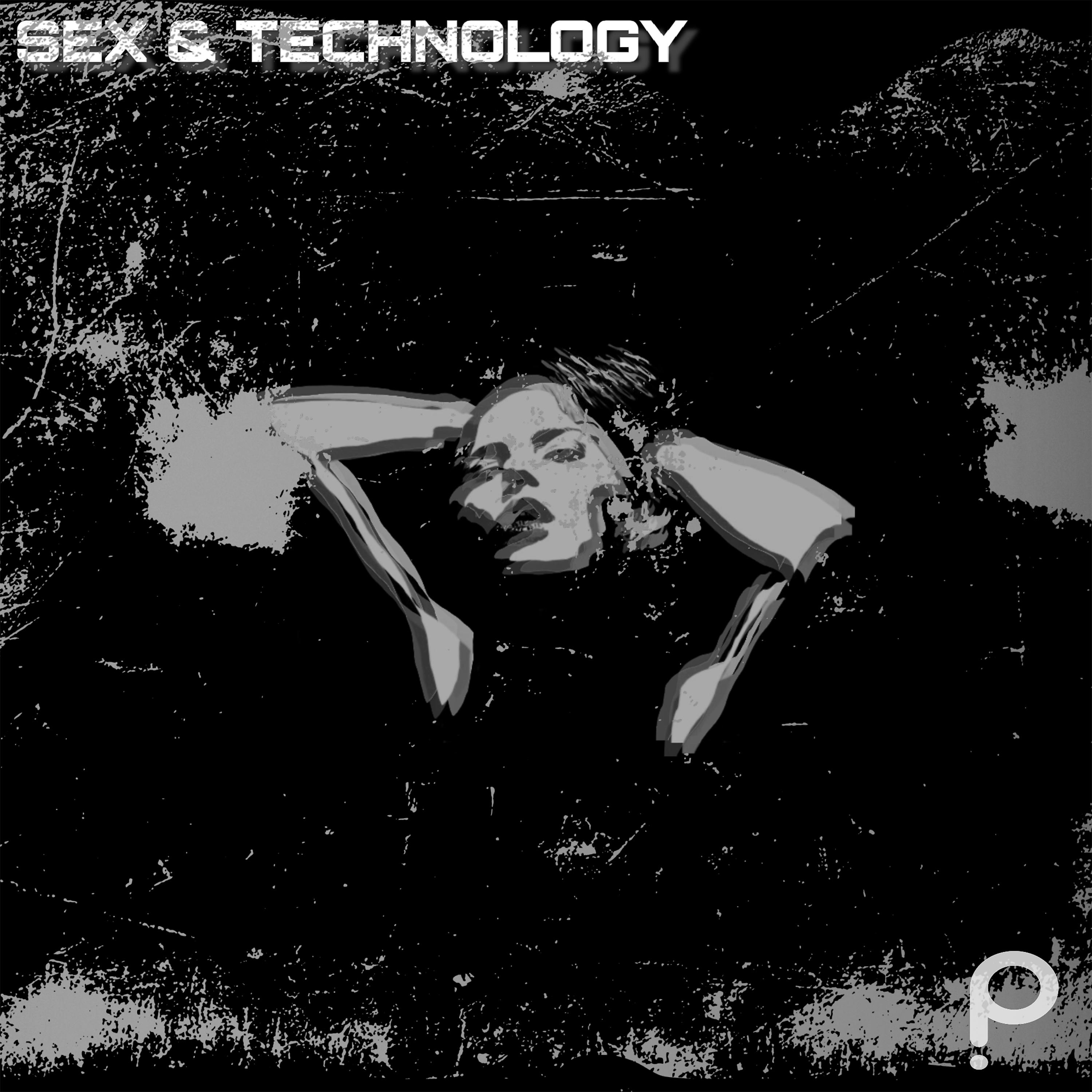 Постер альбома Sex & Technology (Remixes)