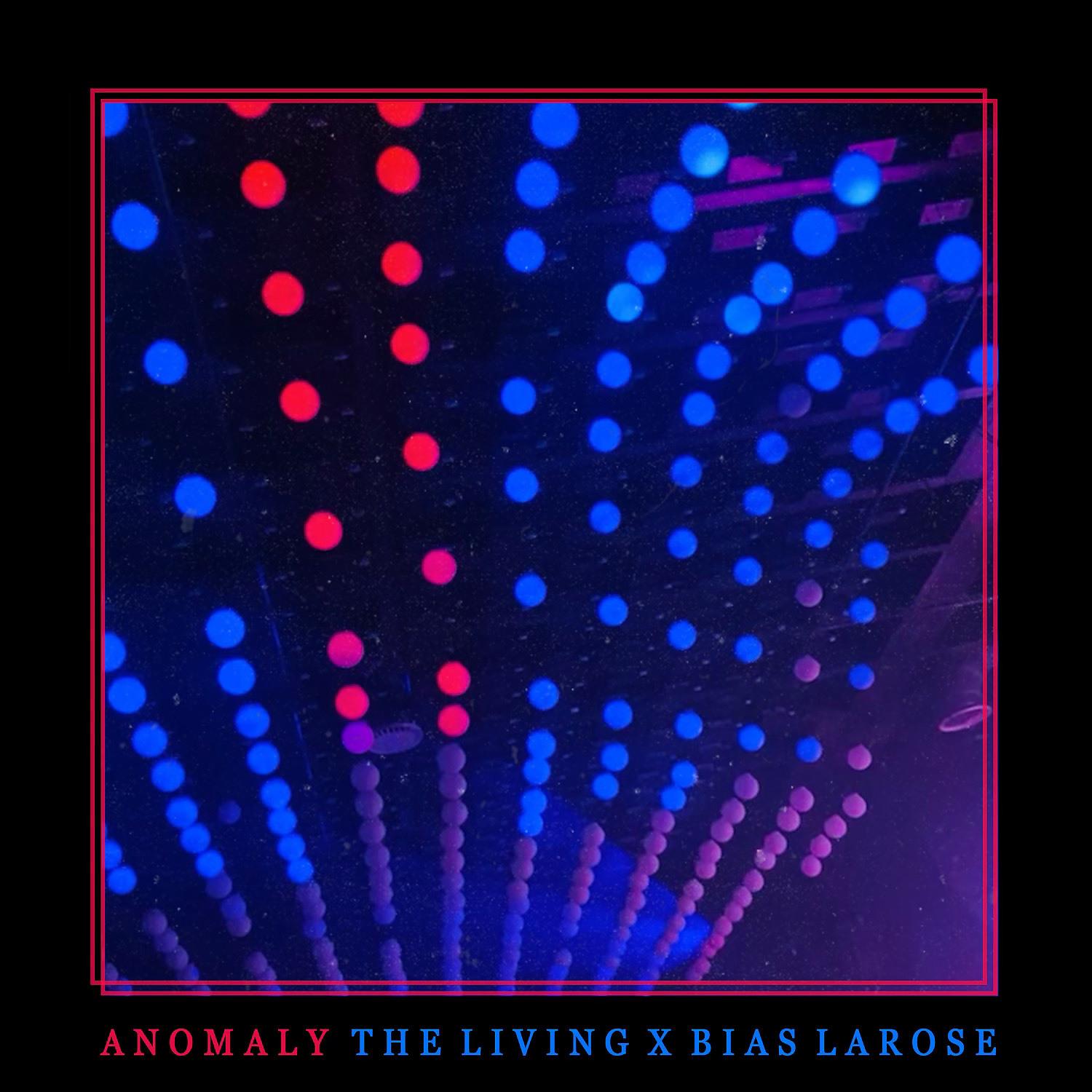 Постер альбома Anomaly