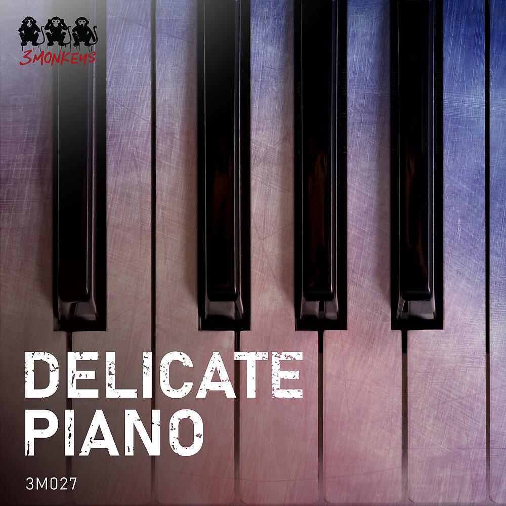 Постер альбома Delicate Piano