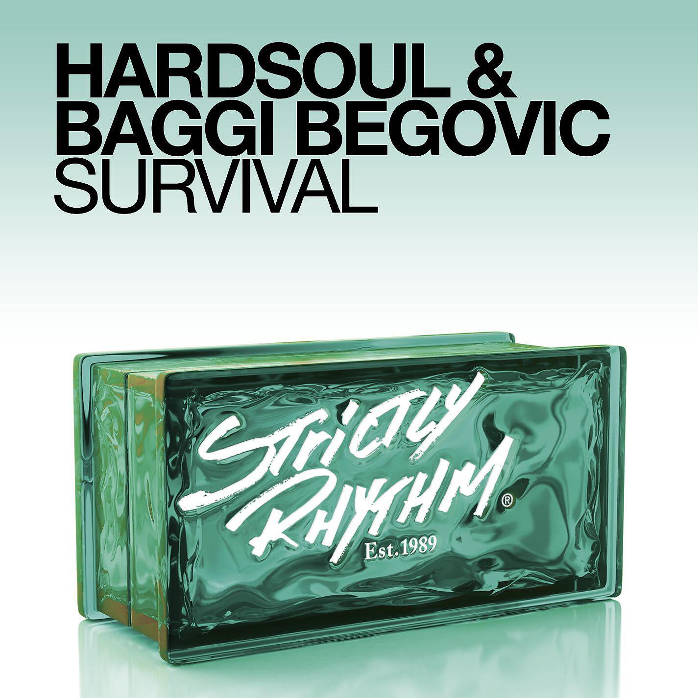 Hardsoul - Survival (Amesz Melo House Rework)