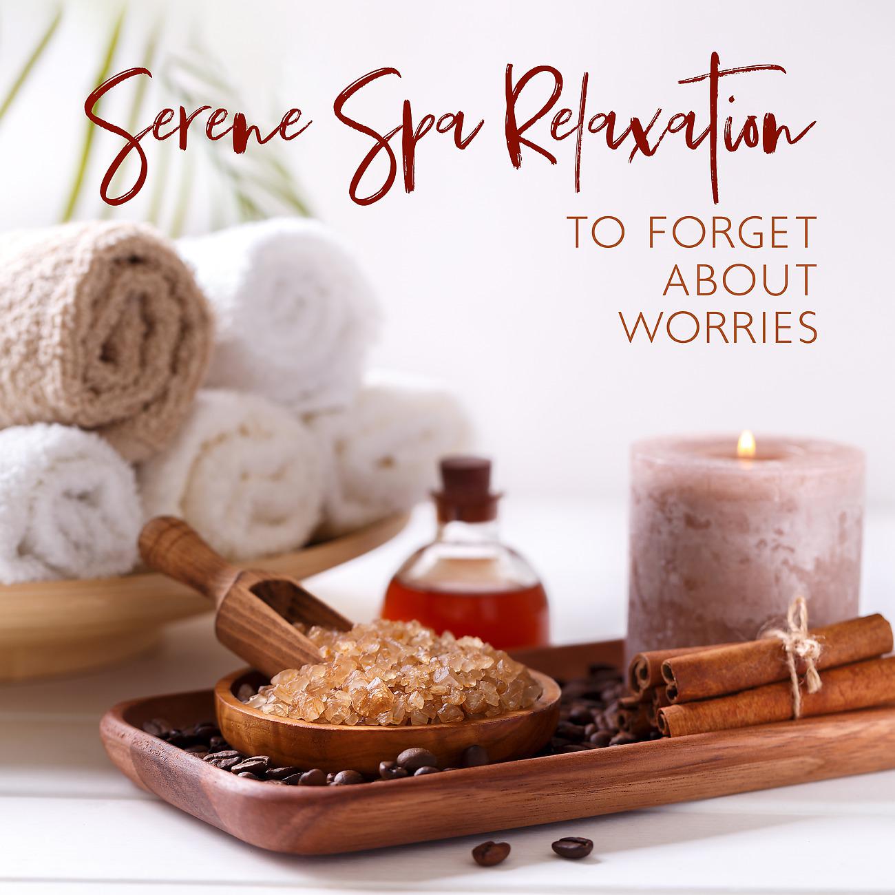 Постер альбома Serene Spa Relaxation to Forget About Worries