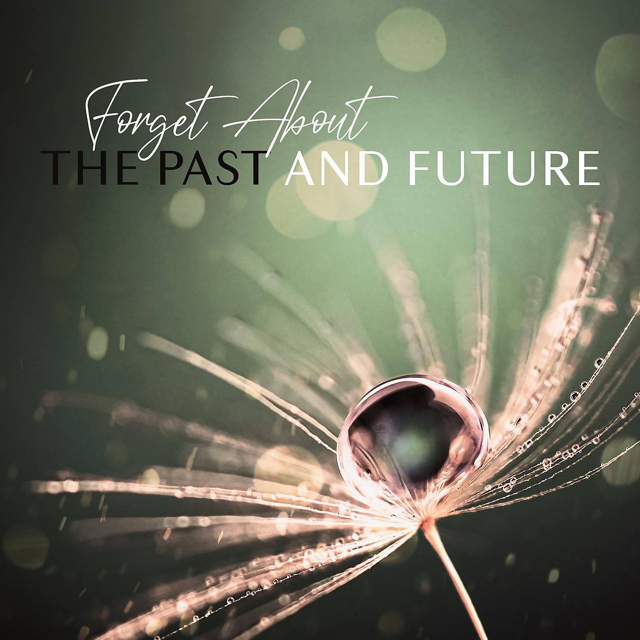 Постер альбома Forget About the Past and Future