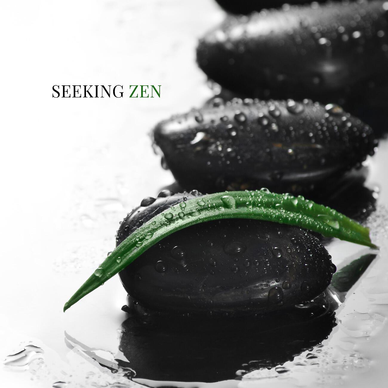 Deep Buddhist Meditation Music Set - Pure Tranquility