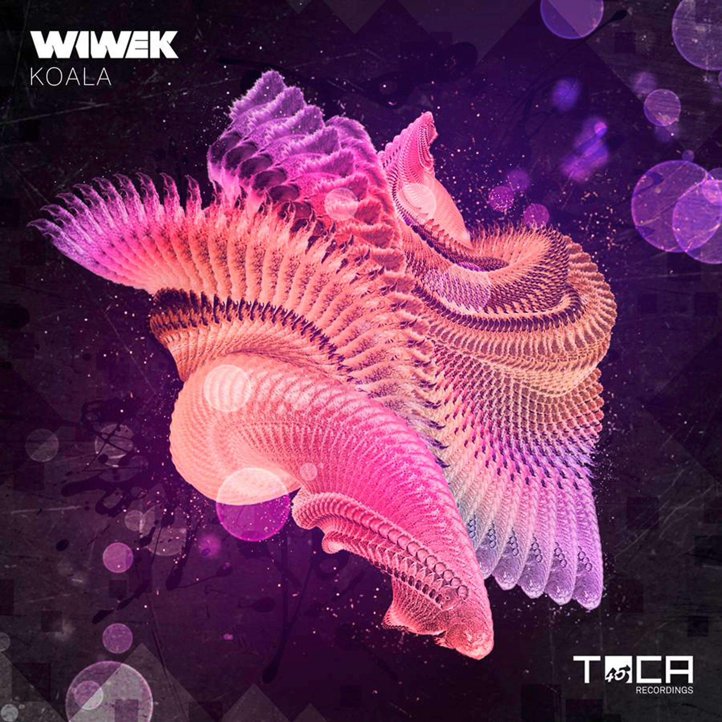 Wiwek - Koala