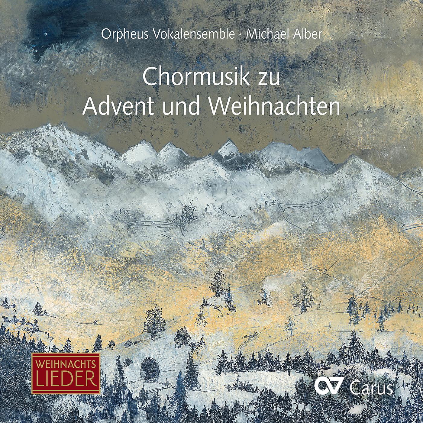 Постер альбома Chormusik zu Advent und Weihnachten