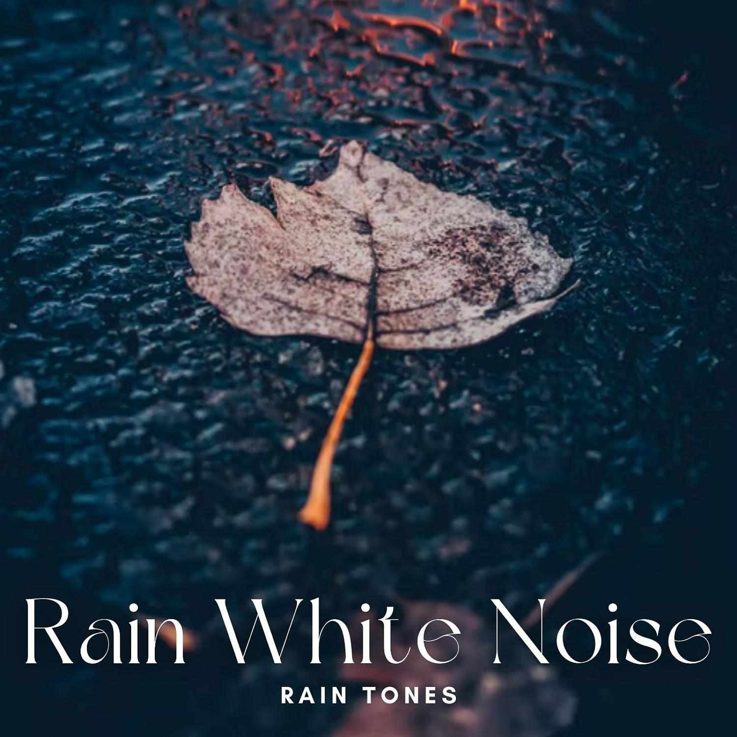 Постер альбома Rain Tones: Rain White Noise