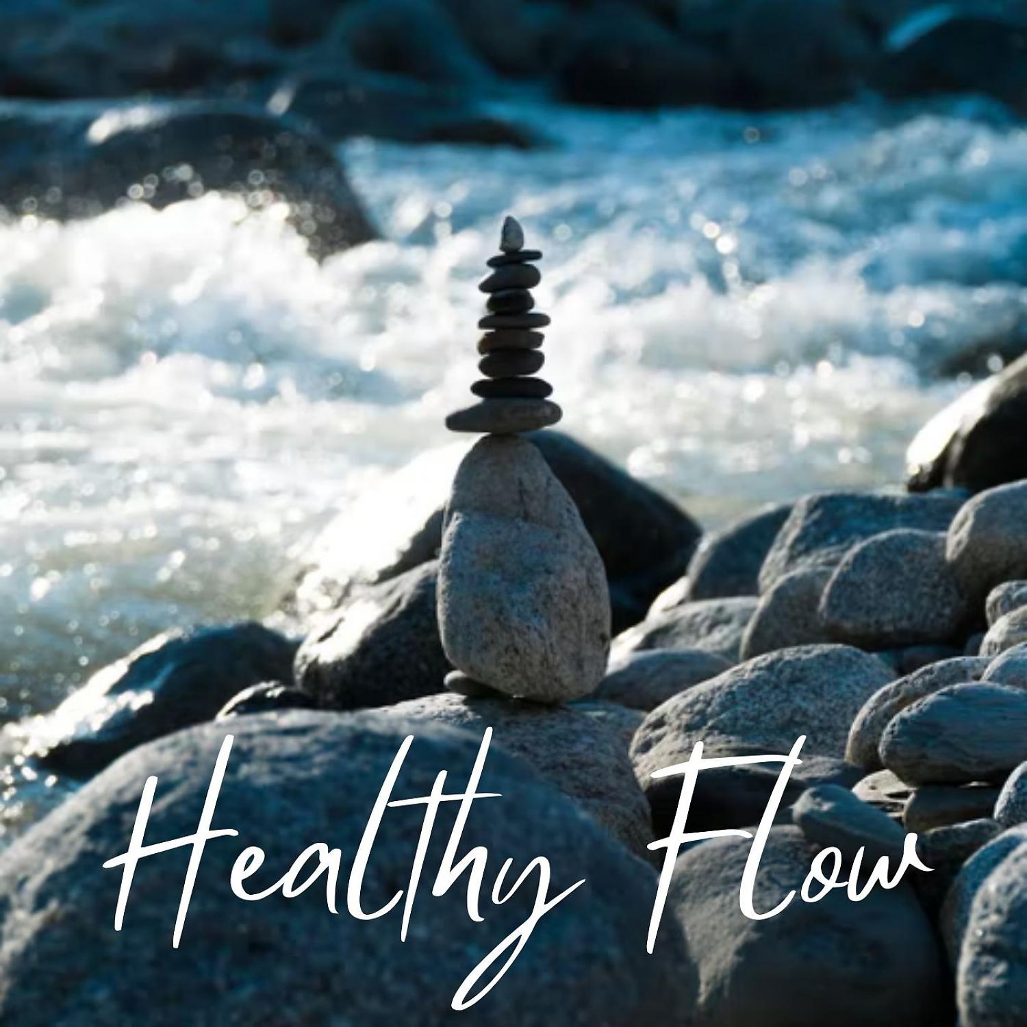 Постер альбома Healthy Flow - 1 Hour