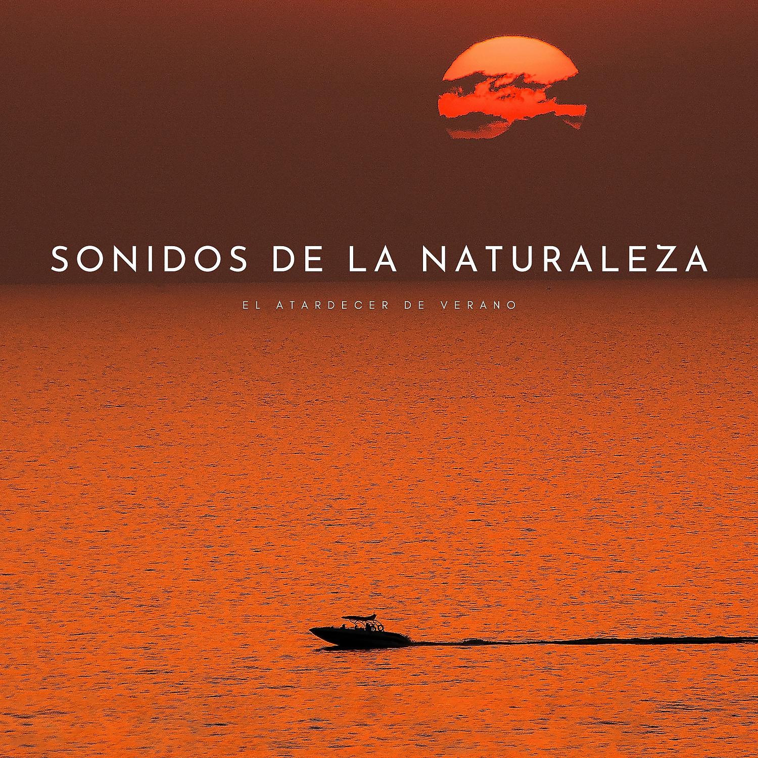 Постер альбома Sonidos De La Naturaleza: El Atardecer De Verano
