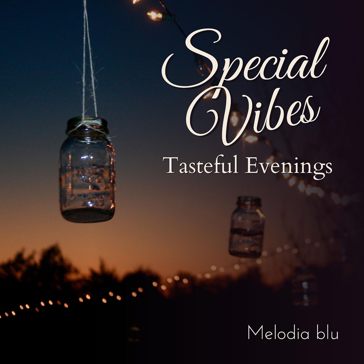 Постер альбома Special Vibes - Tasteful Evenings