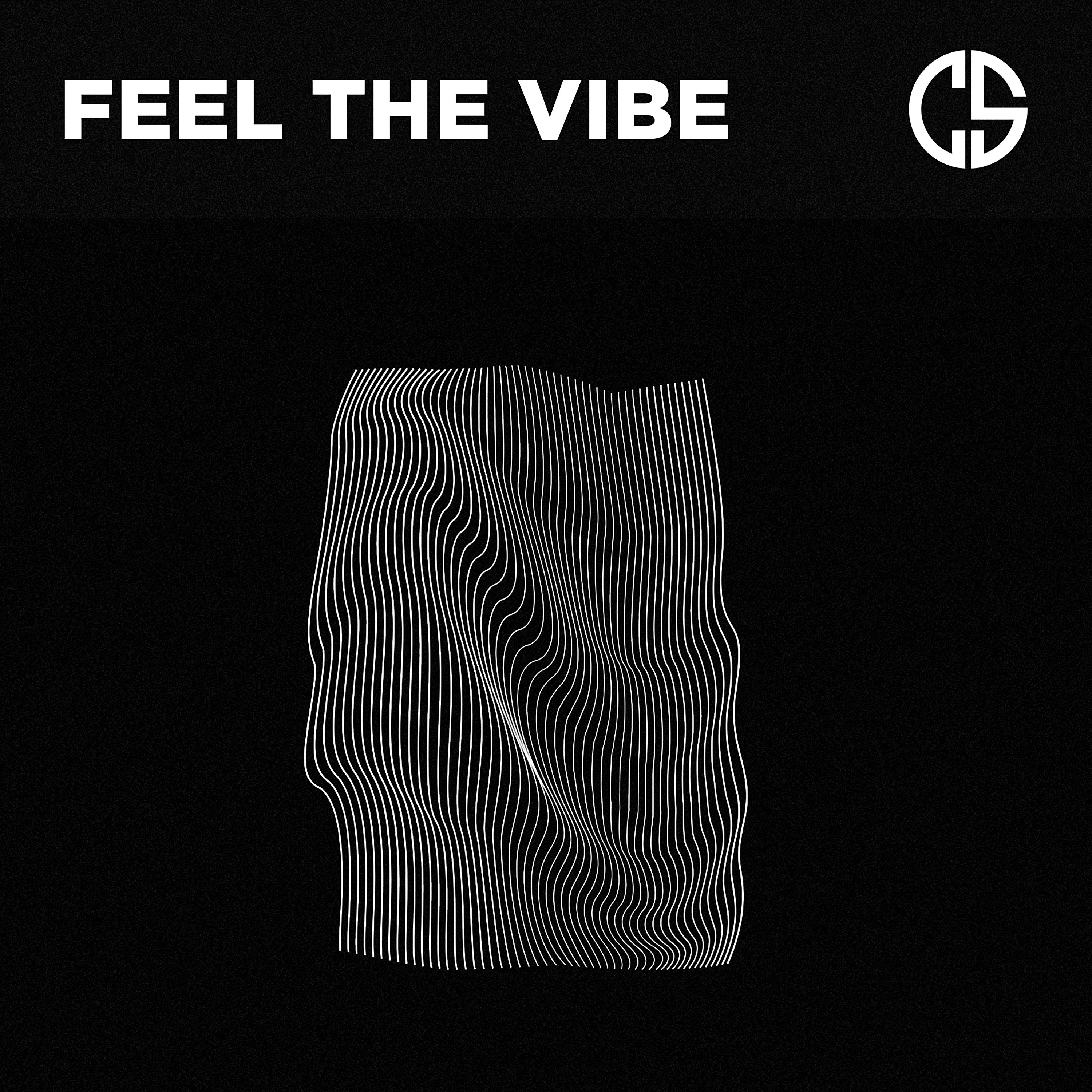 Постер альбома Feel The Vibe