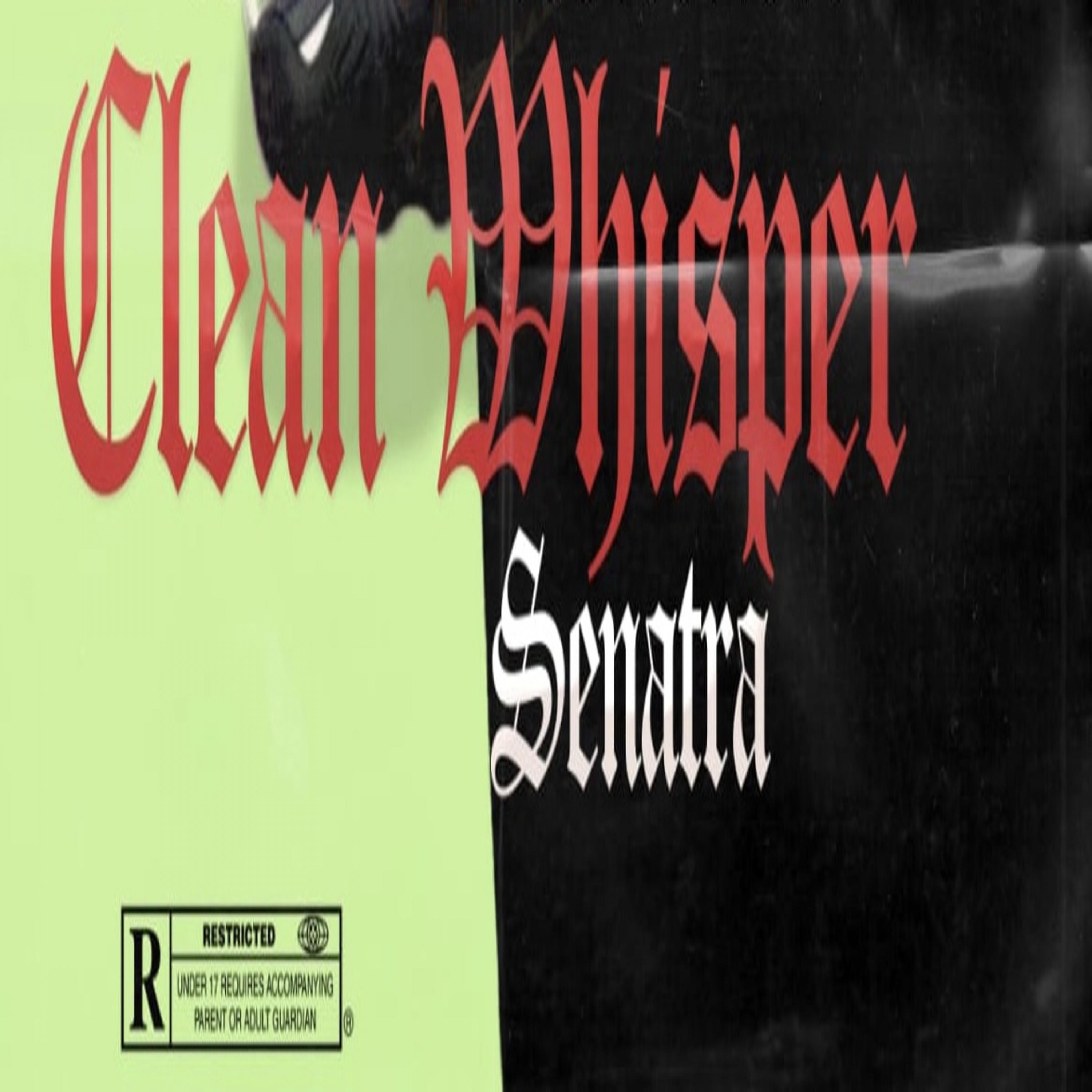 Постер альбома Clean Whisper