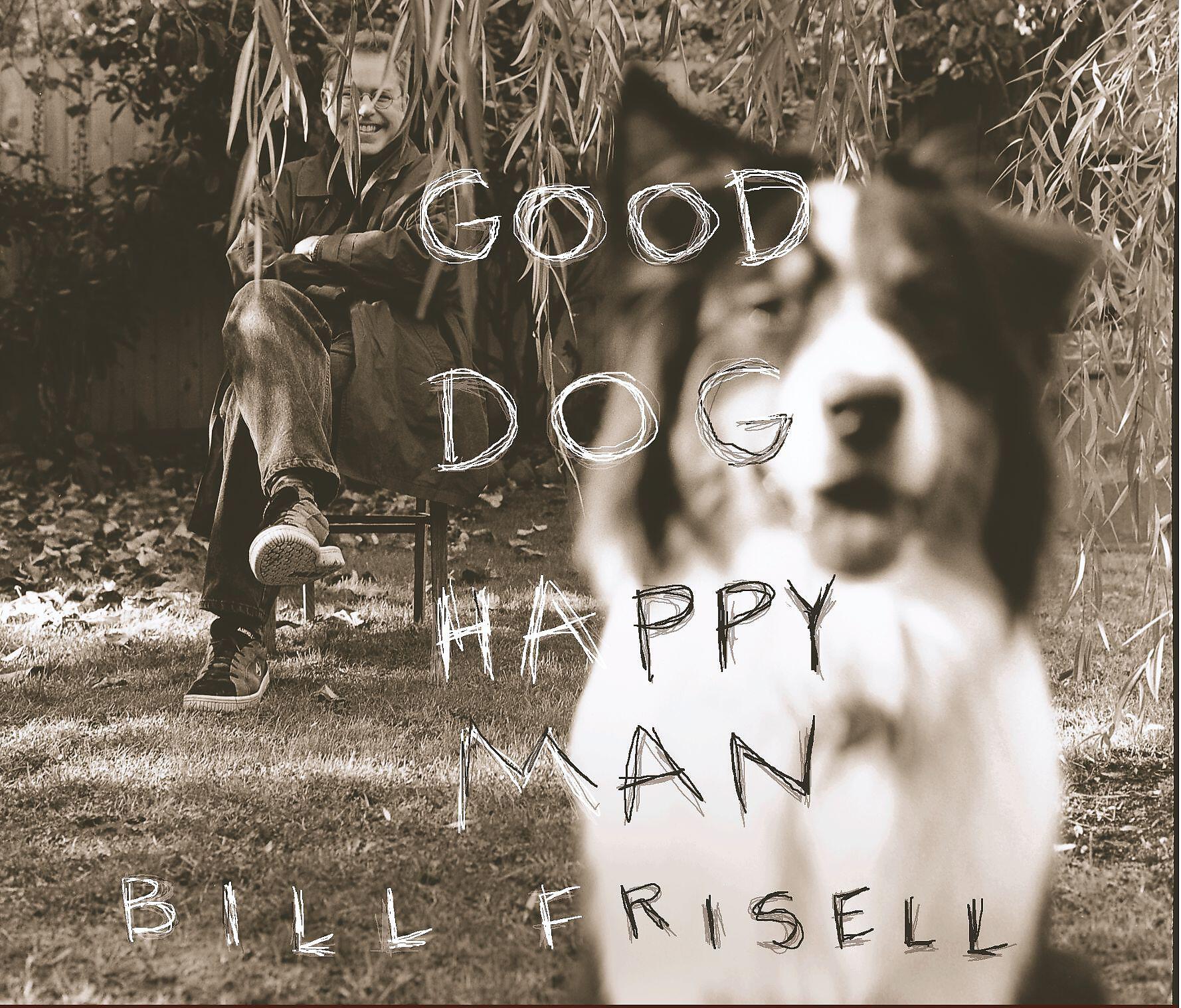 Bill Frisell - Cold, Cold Ground