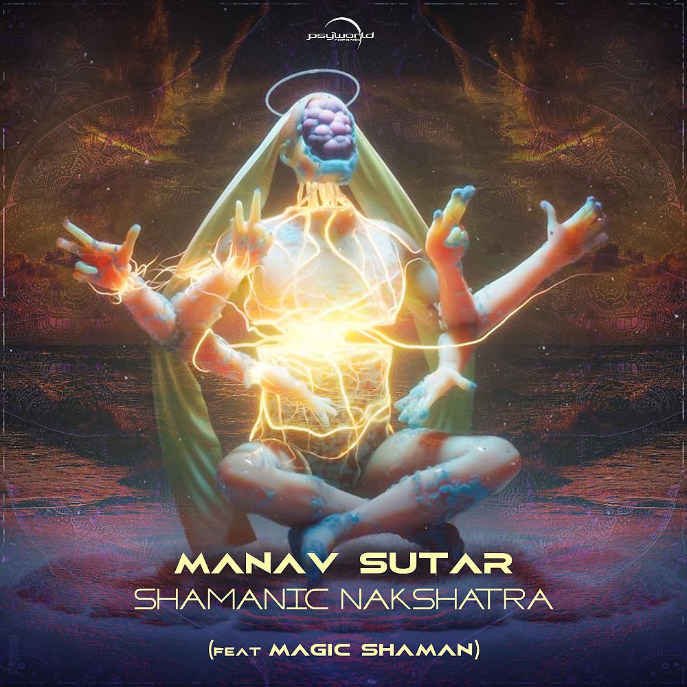 Постер альбома Shamanic Nakshatra