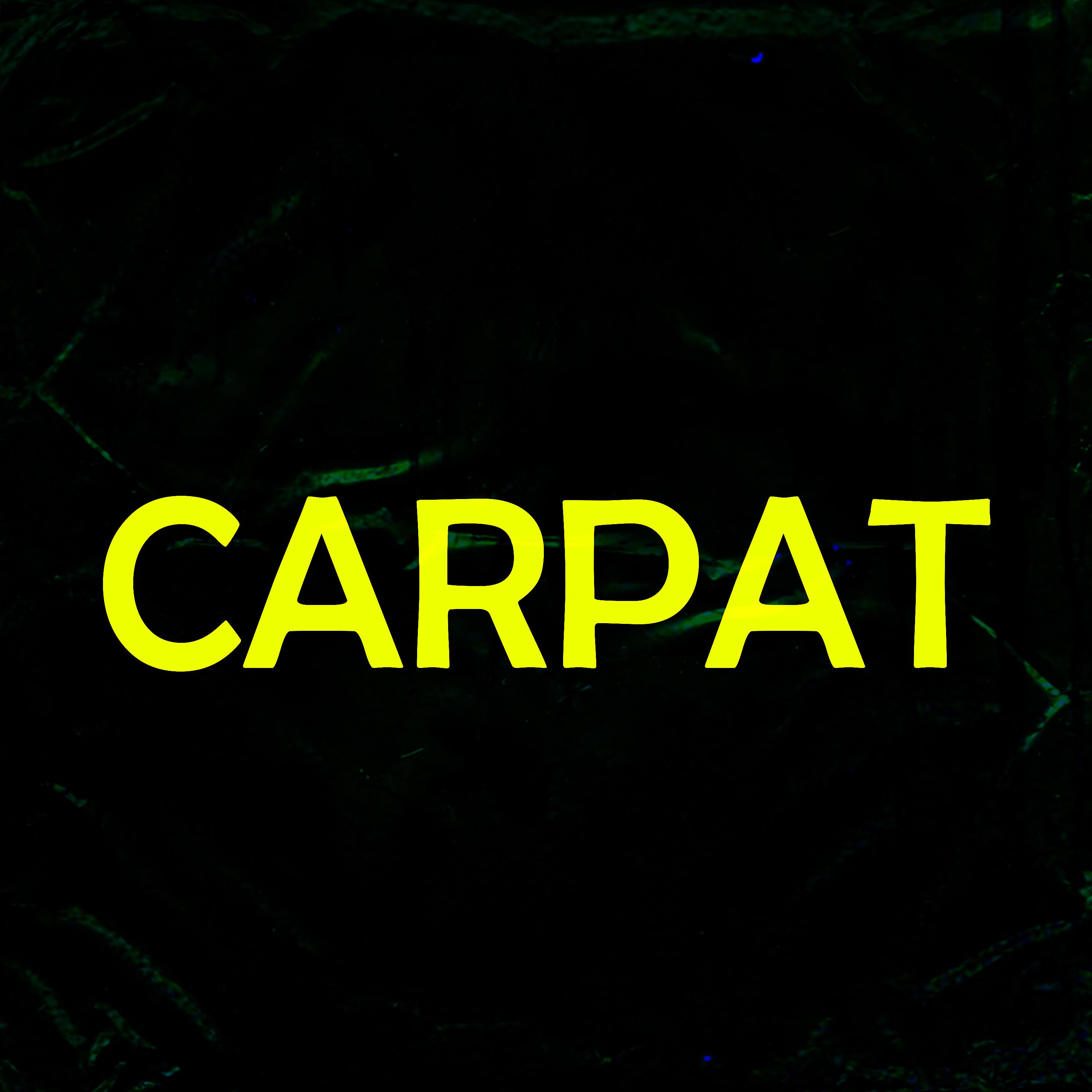 Постер альбома Carpat